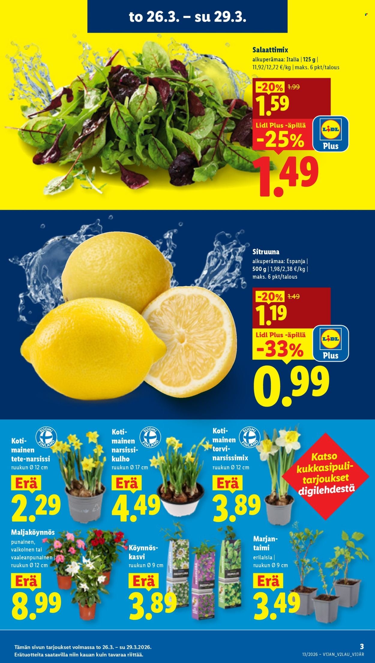 LIDL tarjoukset - Alkaen TO 26.3.2026