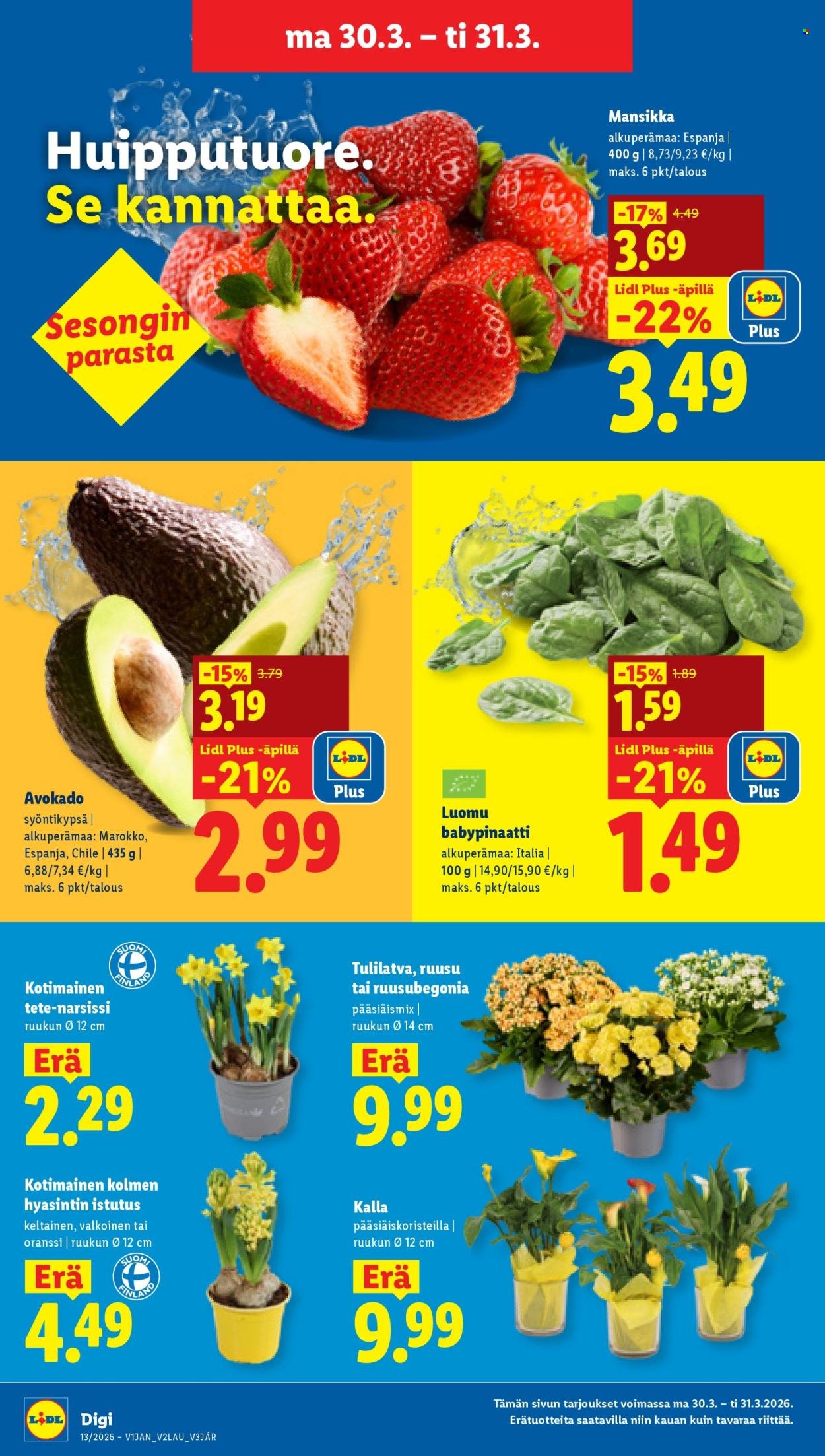 LIDL tarjoukset - Alkaen TO 26.3.2026