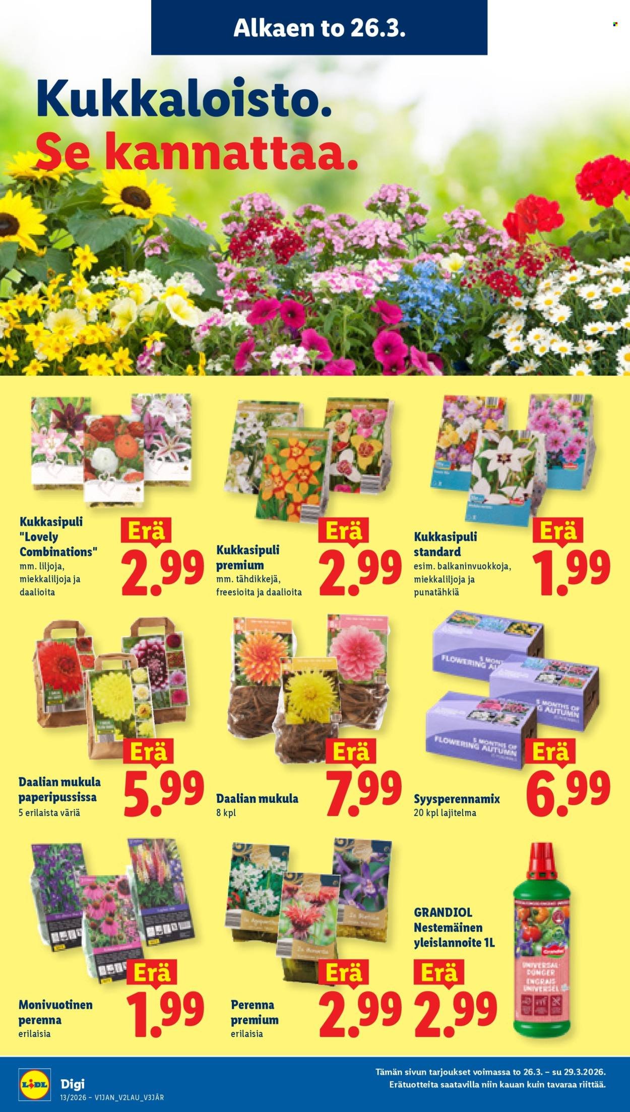 LIDL tarjoukset - Alkaen TO 26.3.2026