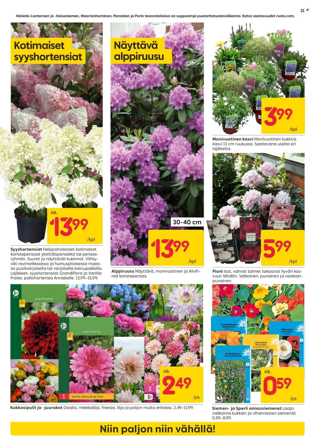 RUSTA tarjoukset - Alkaen MA 20.4.2026