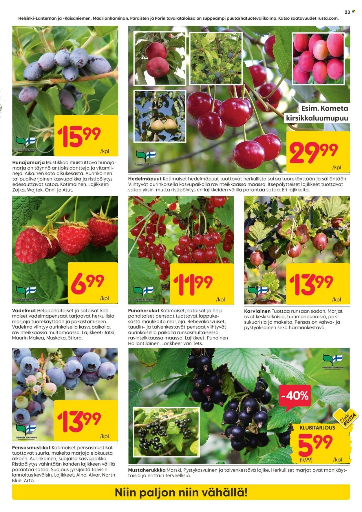 RUSTA tarjoukset - Alkaen MA 20.4.2026