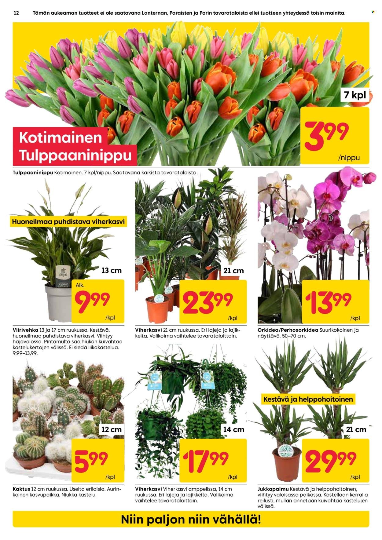 RUSTA tarjoukset - Alkaen MA 5.1.2026