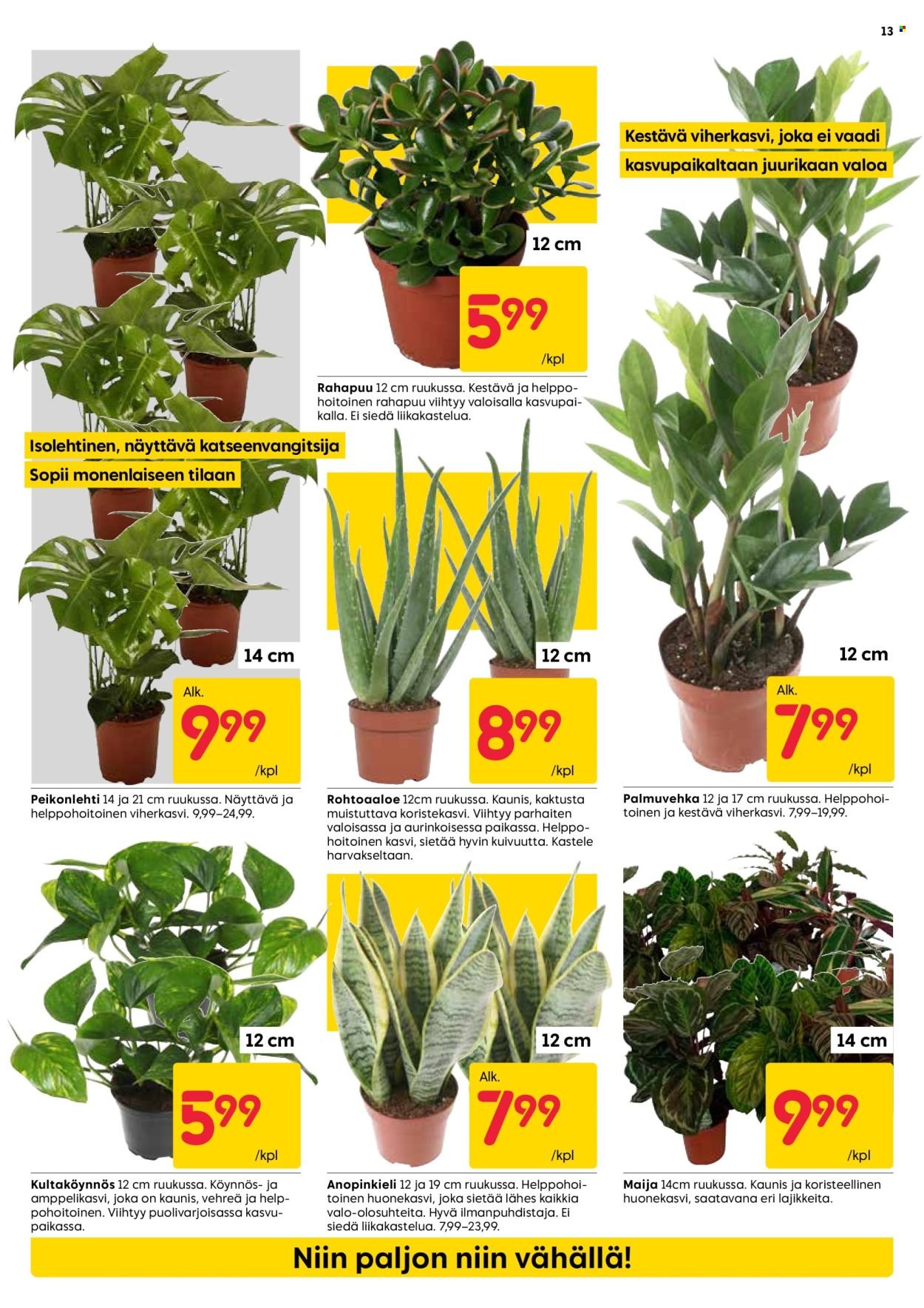 RUSTA tarjoukset - Alkaen MA 5.1.2026