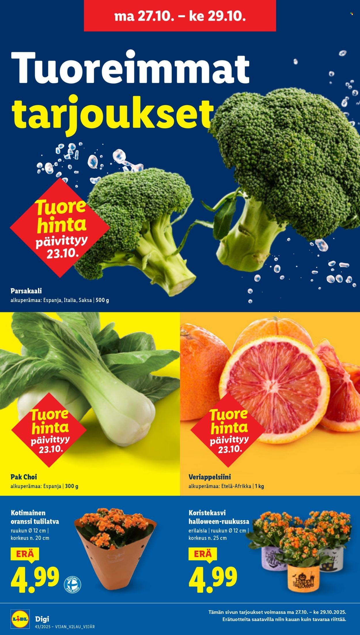 LIDL tarjoukset - Alkaen TO 23.10.2025 (2025-10-23 - 2025-10-29)