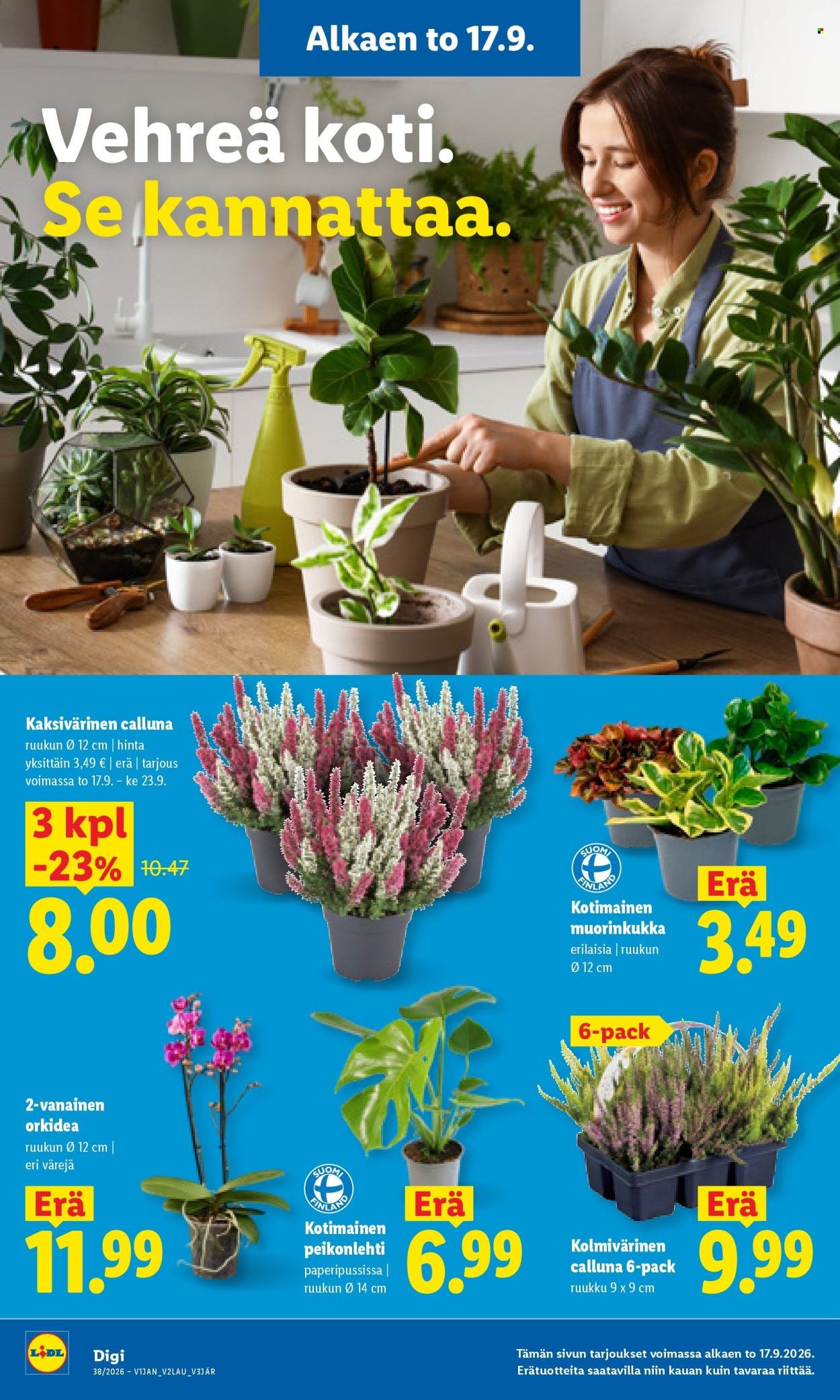 LIDL tarjoukset - Alkaen TO 17.9.2026