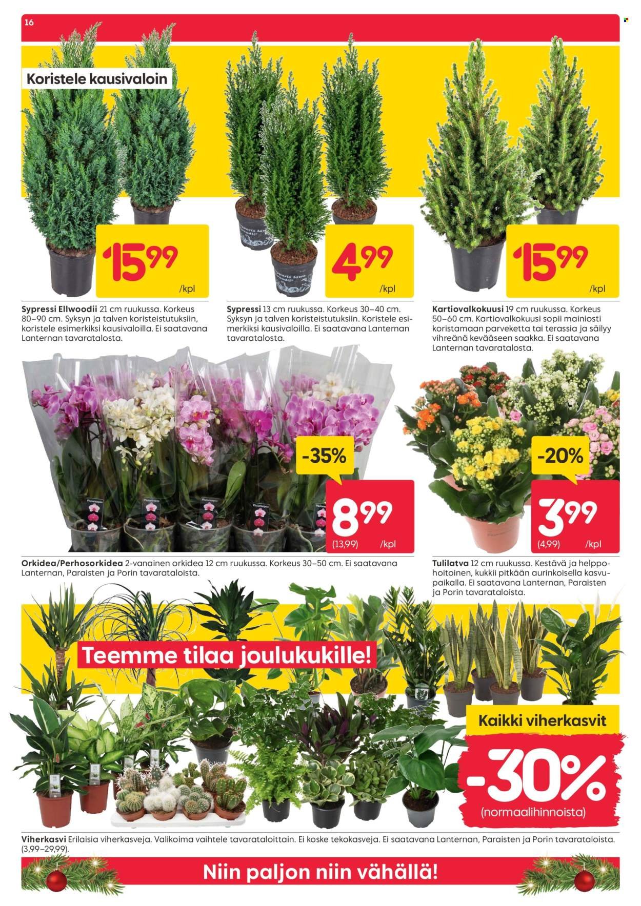 RUSTA tarjoukset - Alkaen MA 3.11.2025 (2025-11-03 - 2025-11-09)