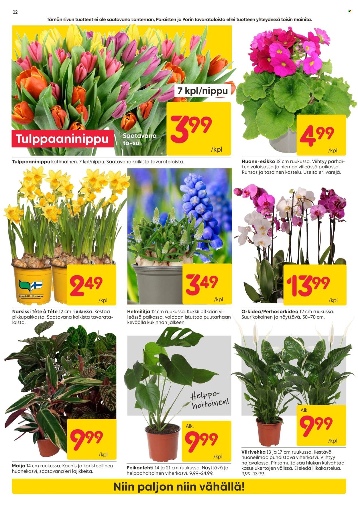 RUSTA tarjoukset - Alkaen MA 16.2.2026