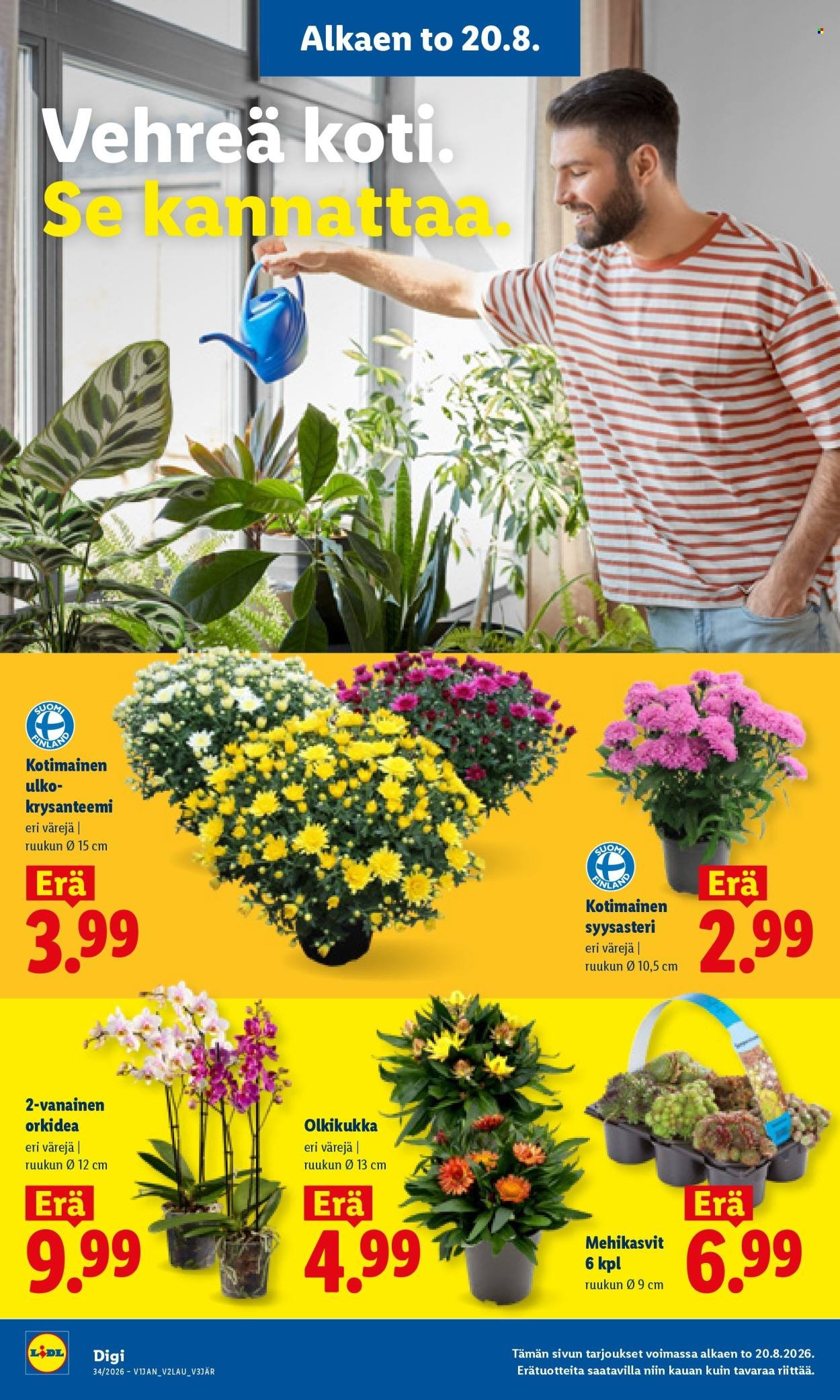 LIDL tarjoukset - Alkaen TO 20.8.2026