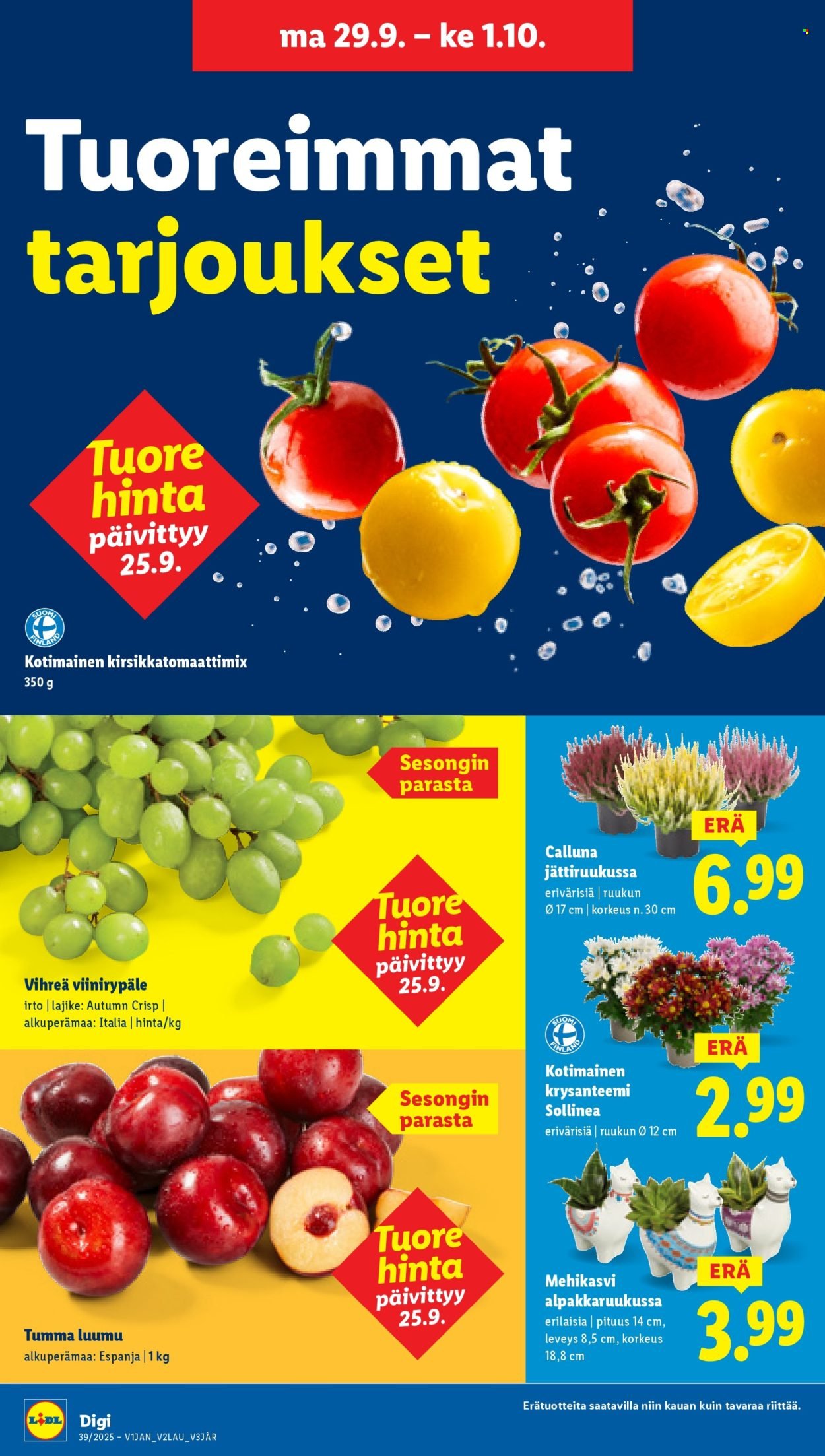 LIDL tarjoukset - Alkaen TO 25.9.2025 (2025-09-25 - 2025-10-01)