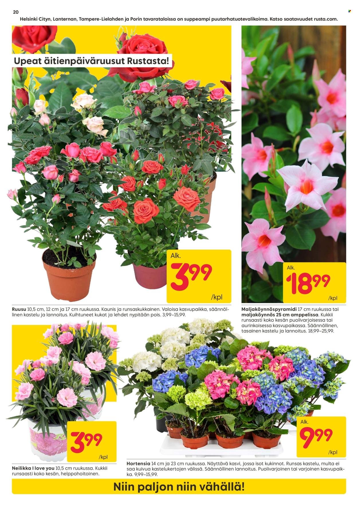 RUSTA tarjoukset - Alkaen MA 27.4.2026