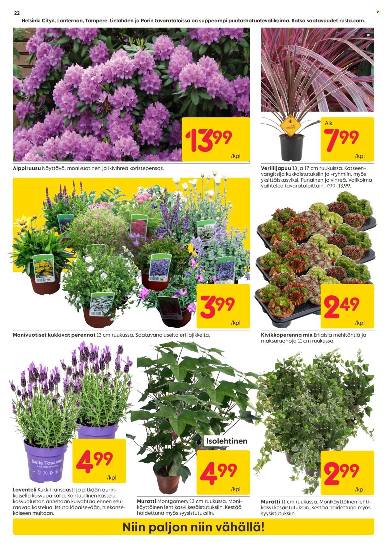 RUSTA tarjoukset - Alkaen MA 27.4.2026