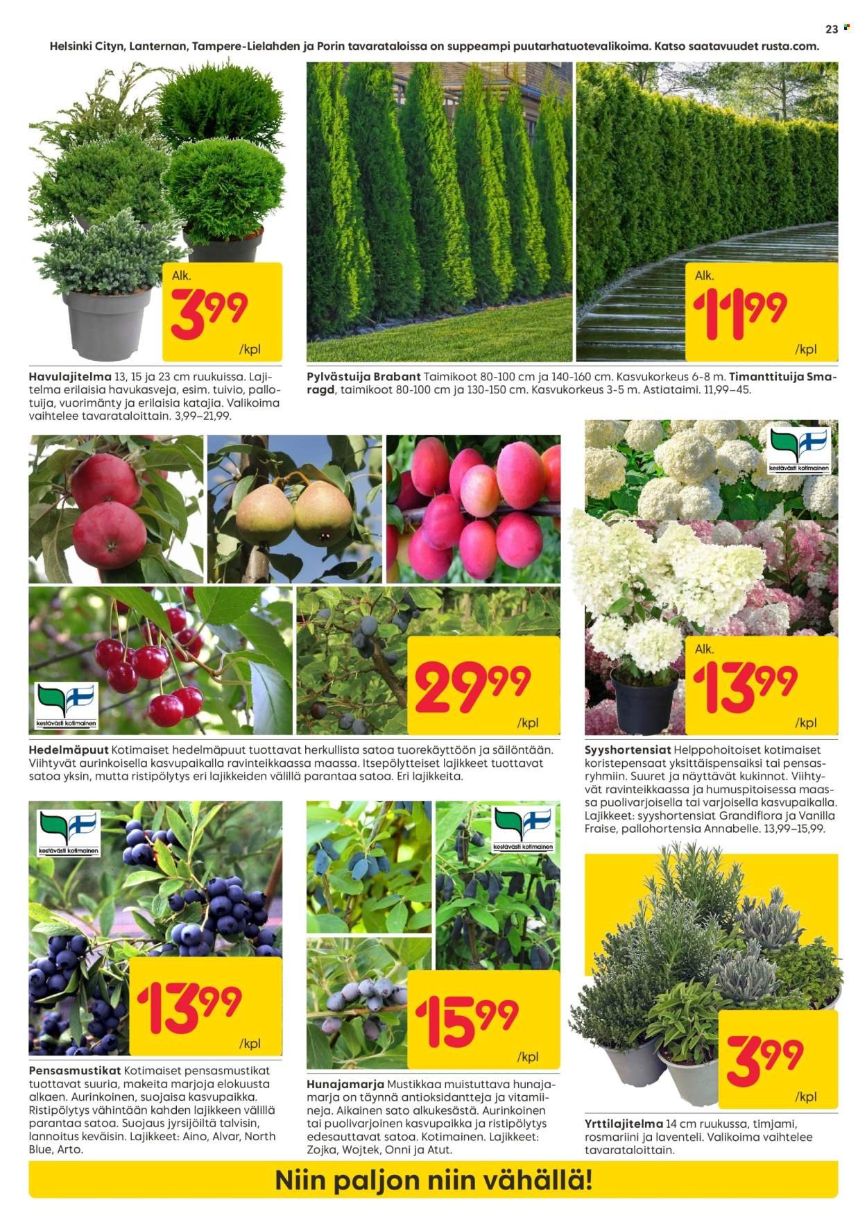 RUSTA tarjoukset - Alkaen MA 27.4.2026