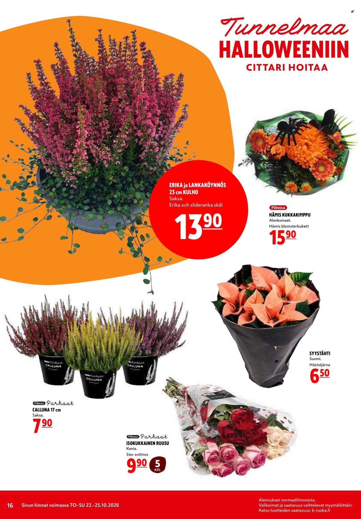 K-CITYMARKET tarjoukset - Alkaen TO 22.10.2026