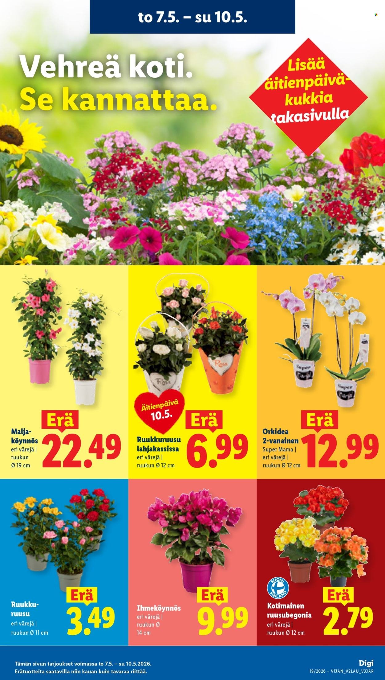 LIDL tarjoukset - Alkaen TO 7.5.2026