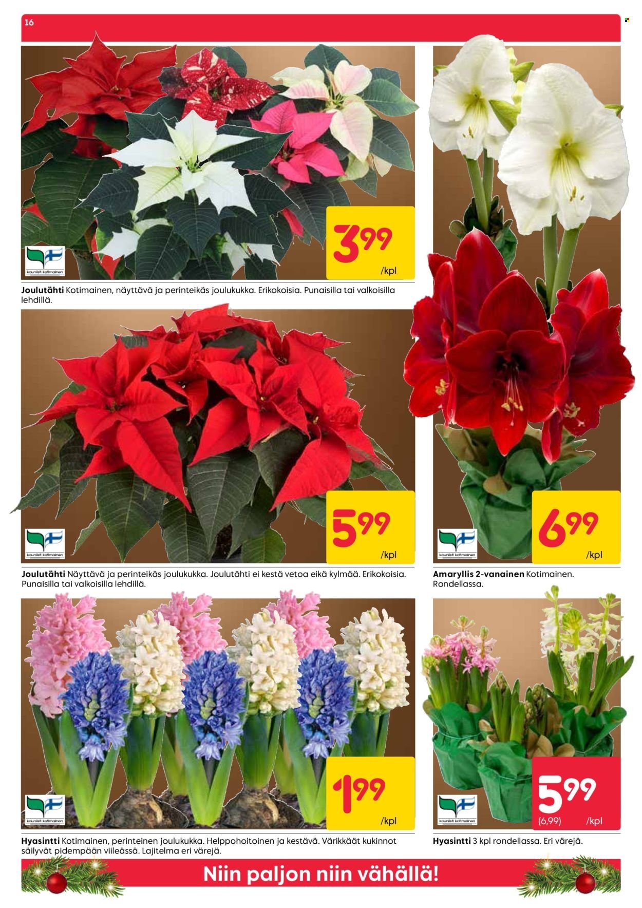 RUSTA tarjoukset - Alkaen MA 15.12.2025