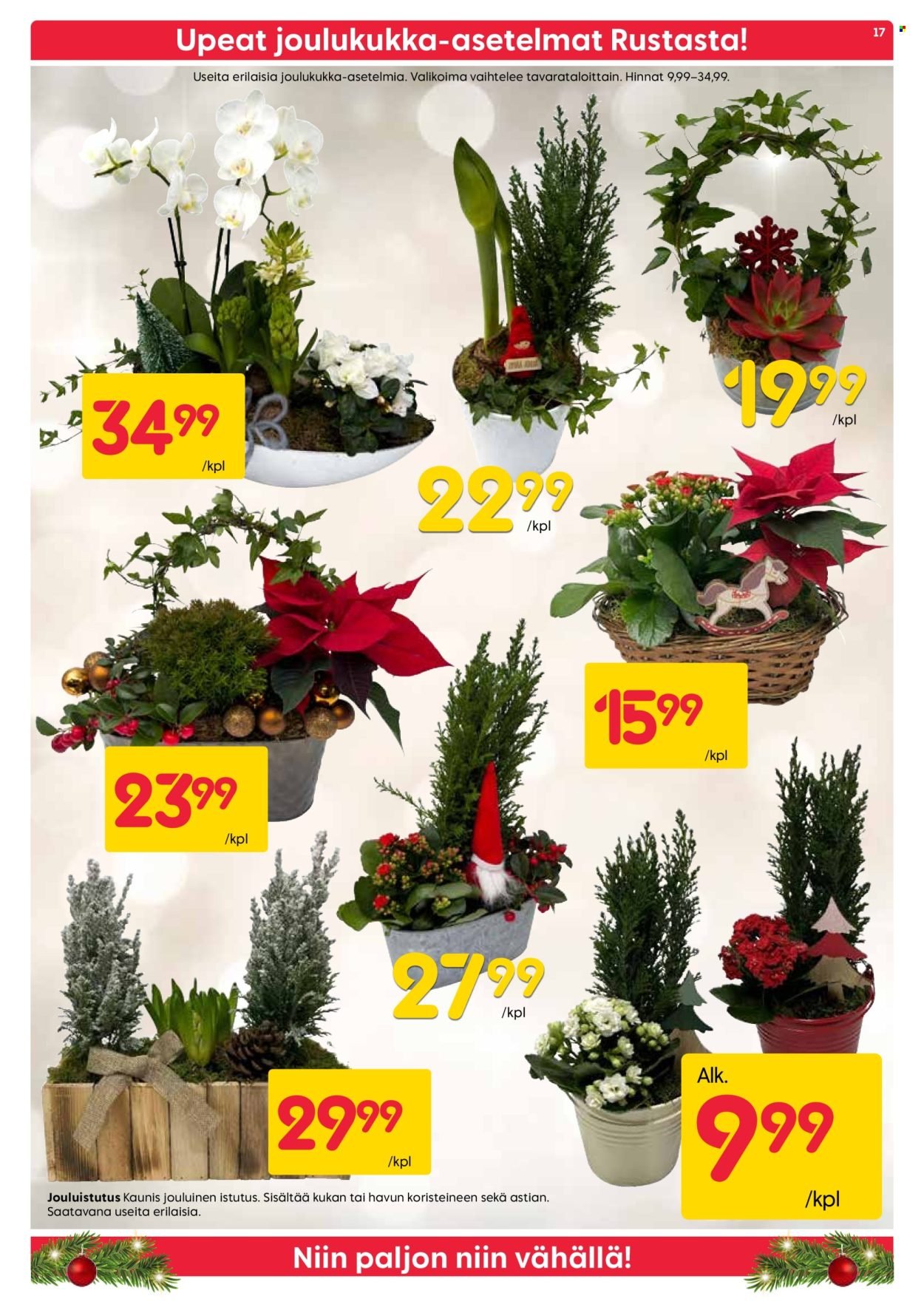 RUSTA tarjoukset - Alkaen MA 15.12.2025