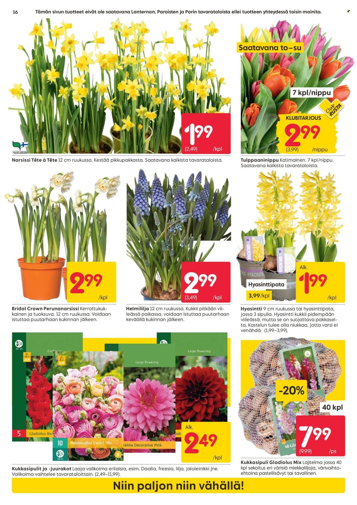 RUSTA tarjoukset - Alkaen MA 16.3.2026