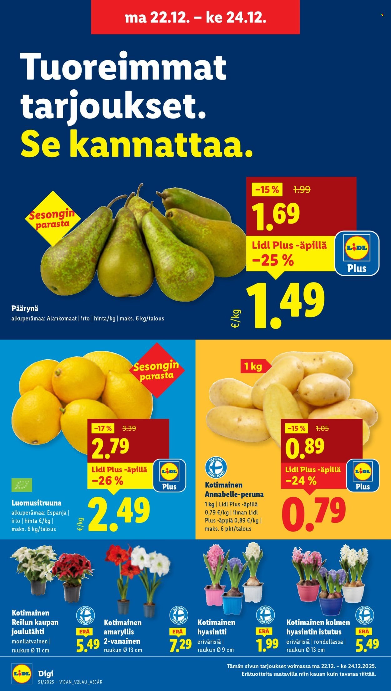 LIDL tarjoukset - Alkaen TO 18.12.2025