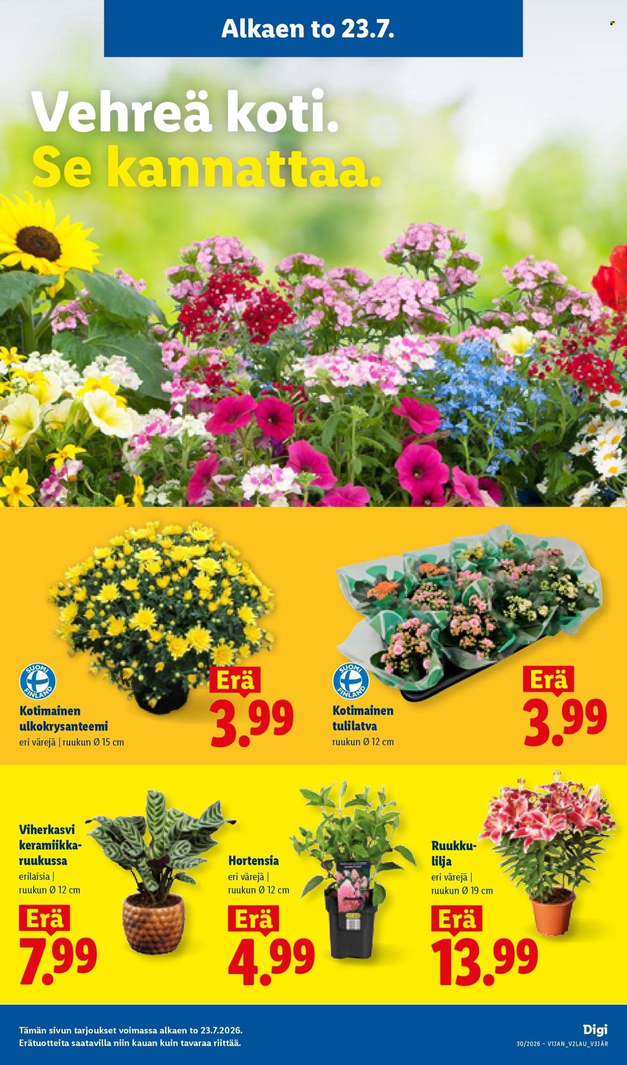 LIDL tarjoukset - Alkaen TO 23.7.2026