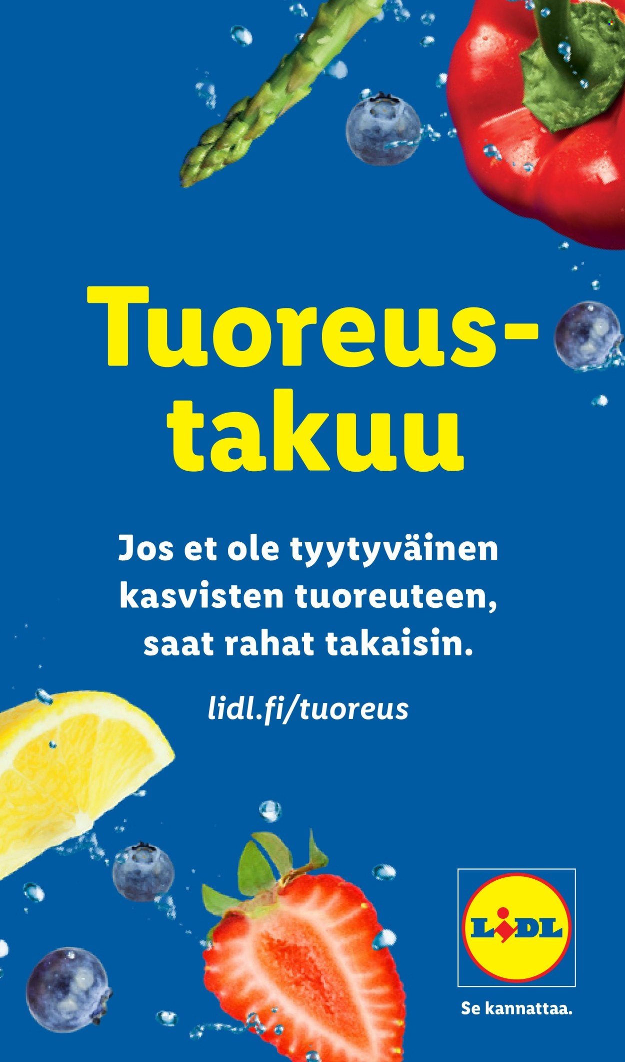 LIDL tarjoukset - Alkaen TO 9.7.2026
