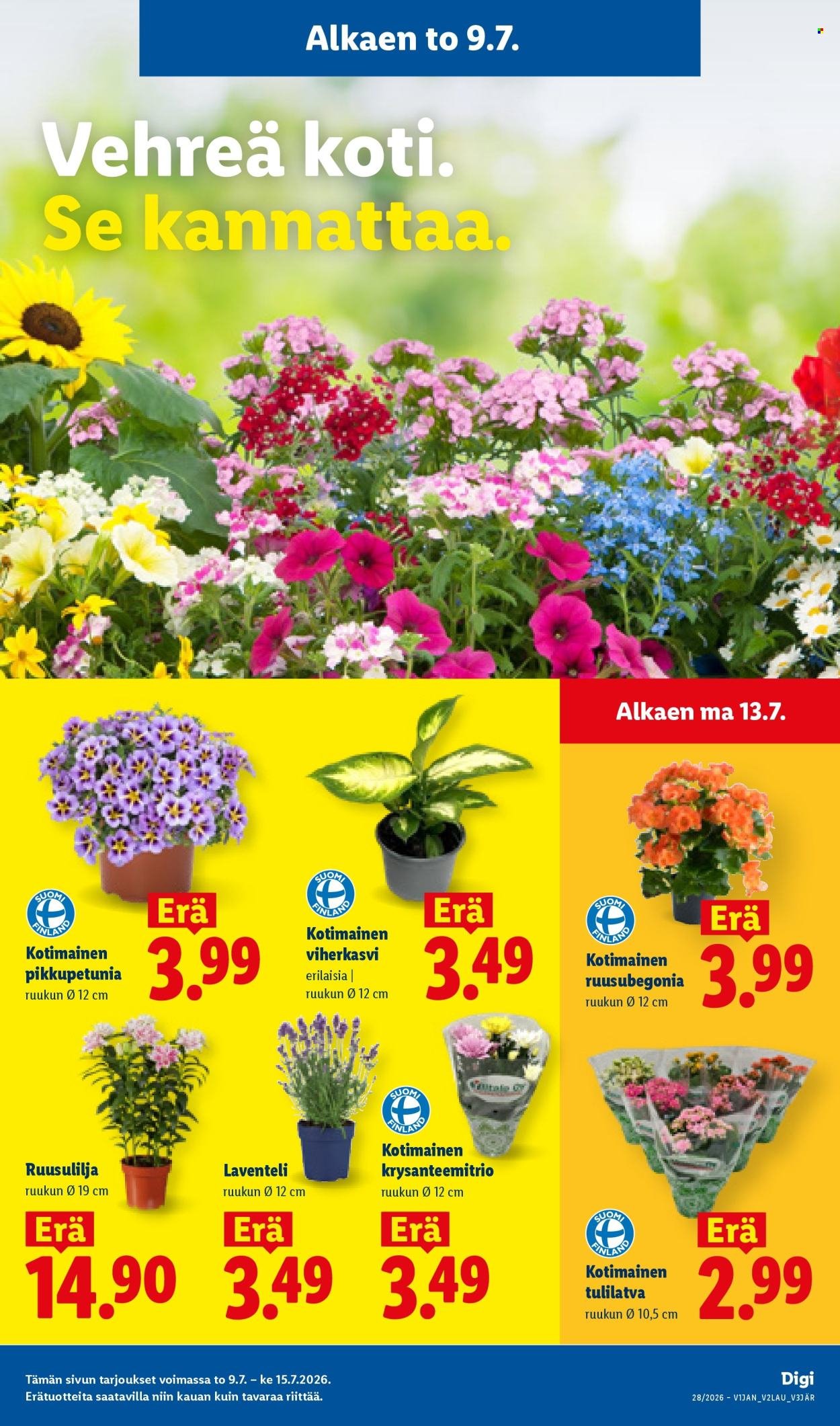 LIDL tarjoukset - Alkaen TO 9.7.2026