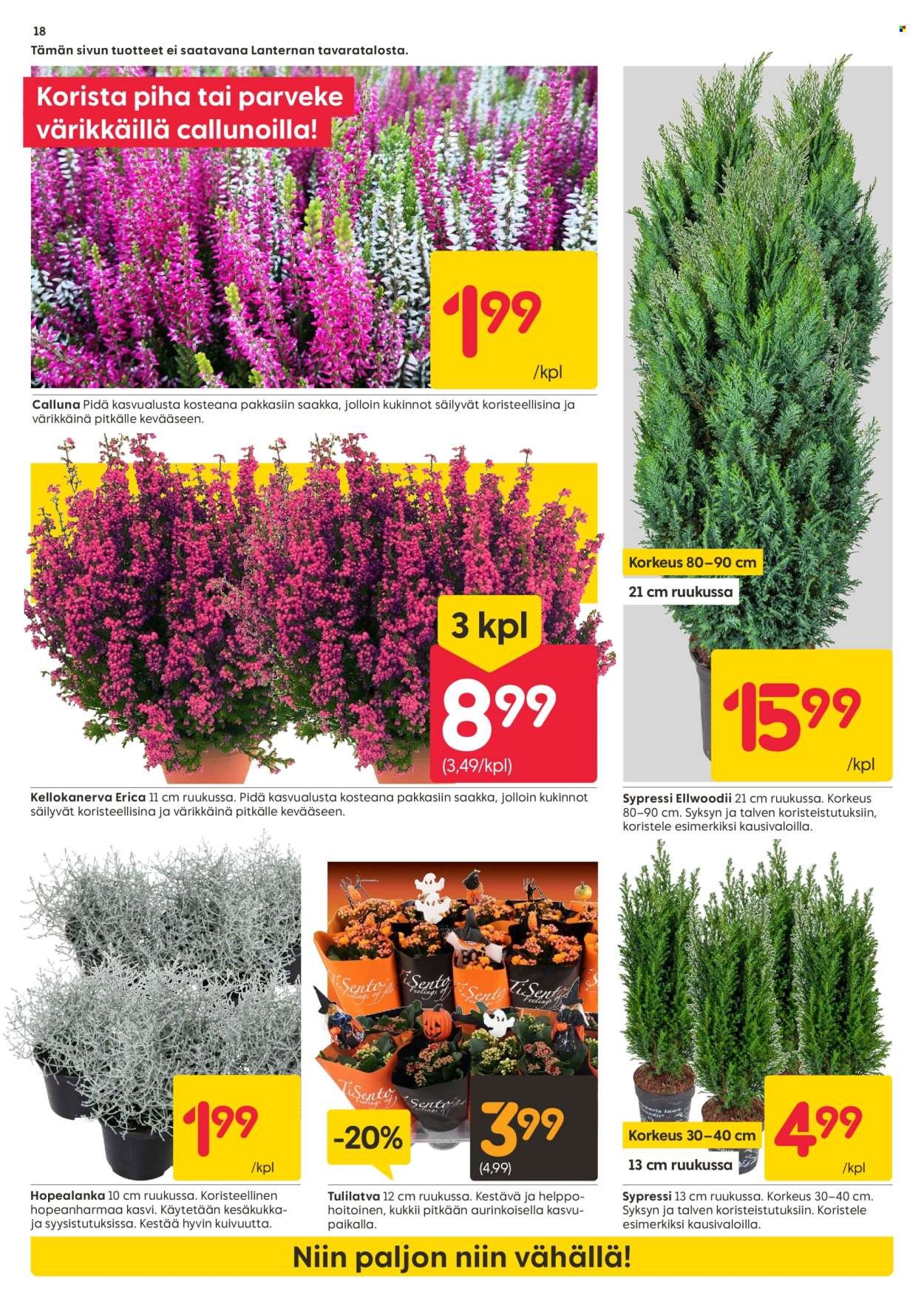 RUSTA tarjoukset - Alkaen MA 27.10.2025 (2025-10-27 - 2025-11-02)