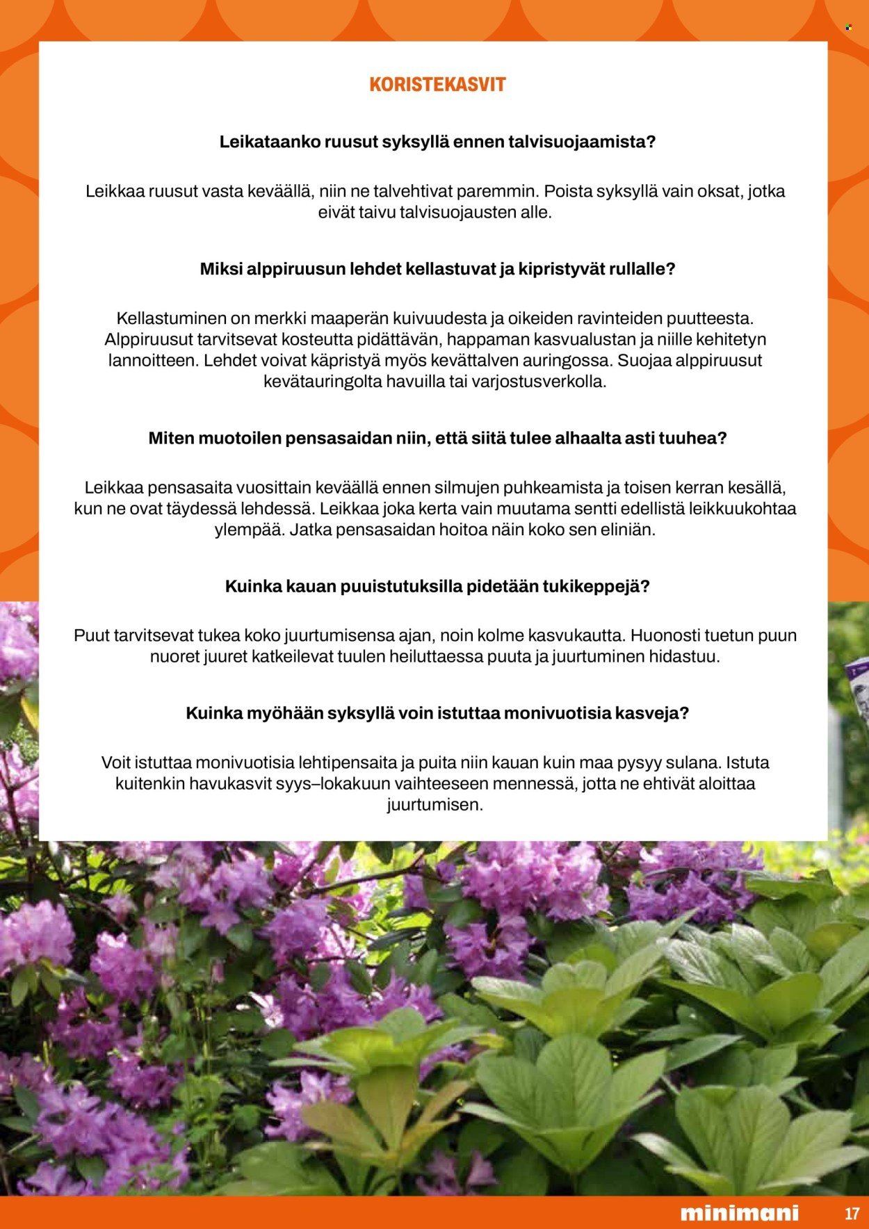 MINIMANI tarjoukset - Toukokuu 2026