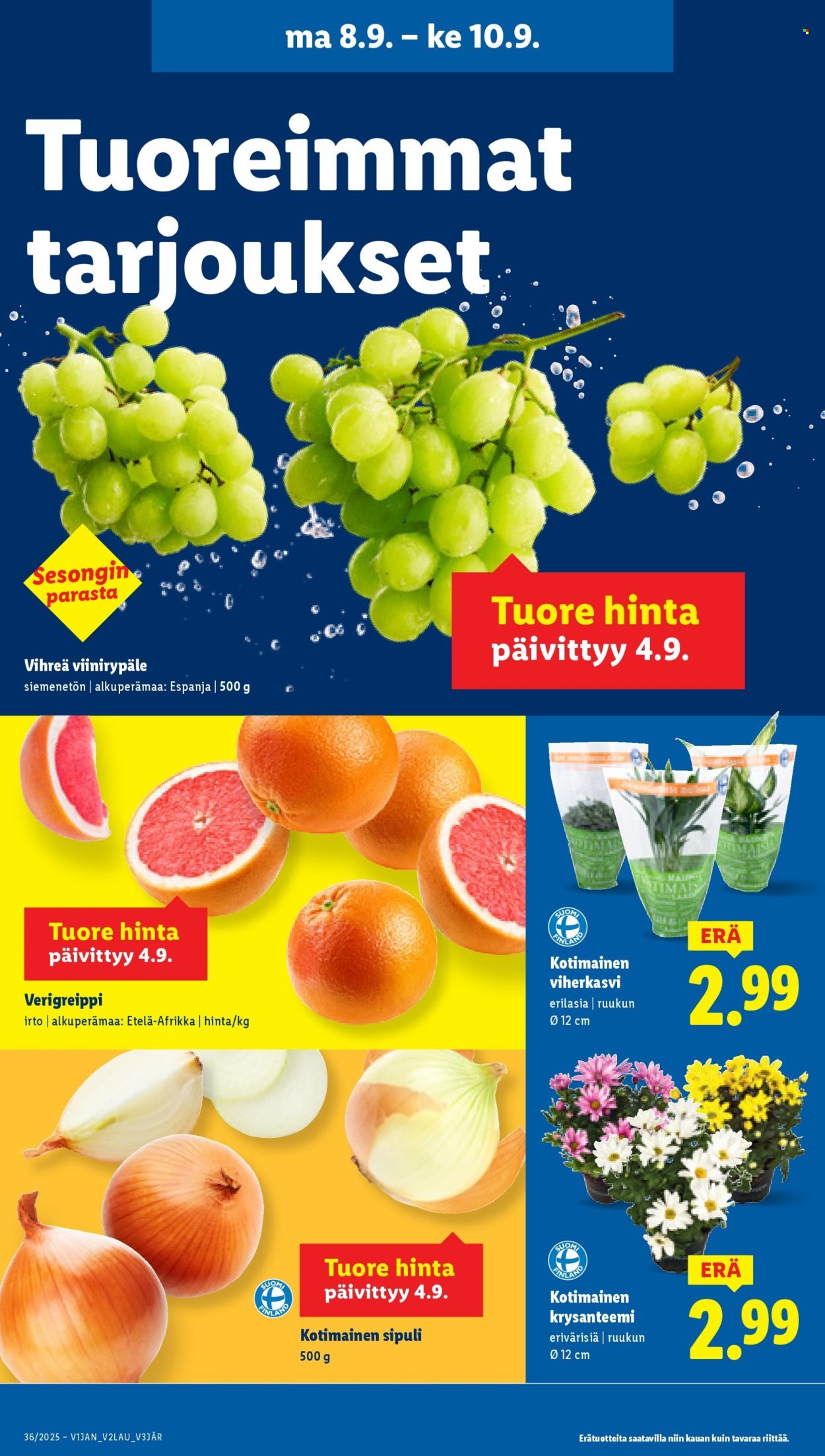 LIDL tarjoukset - Alkaen TO 4.9.2025 (2025-09-04 - 2025-09-10)