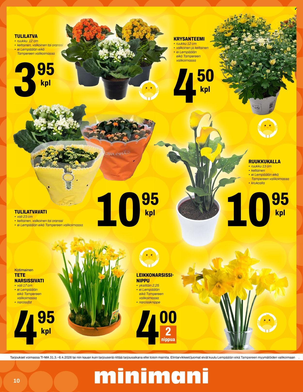 MINIMANI tarjoukset - Alkaen TI 31.3.2026