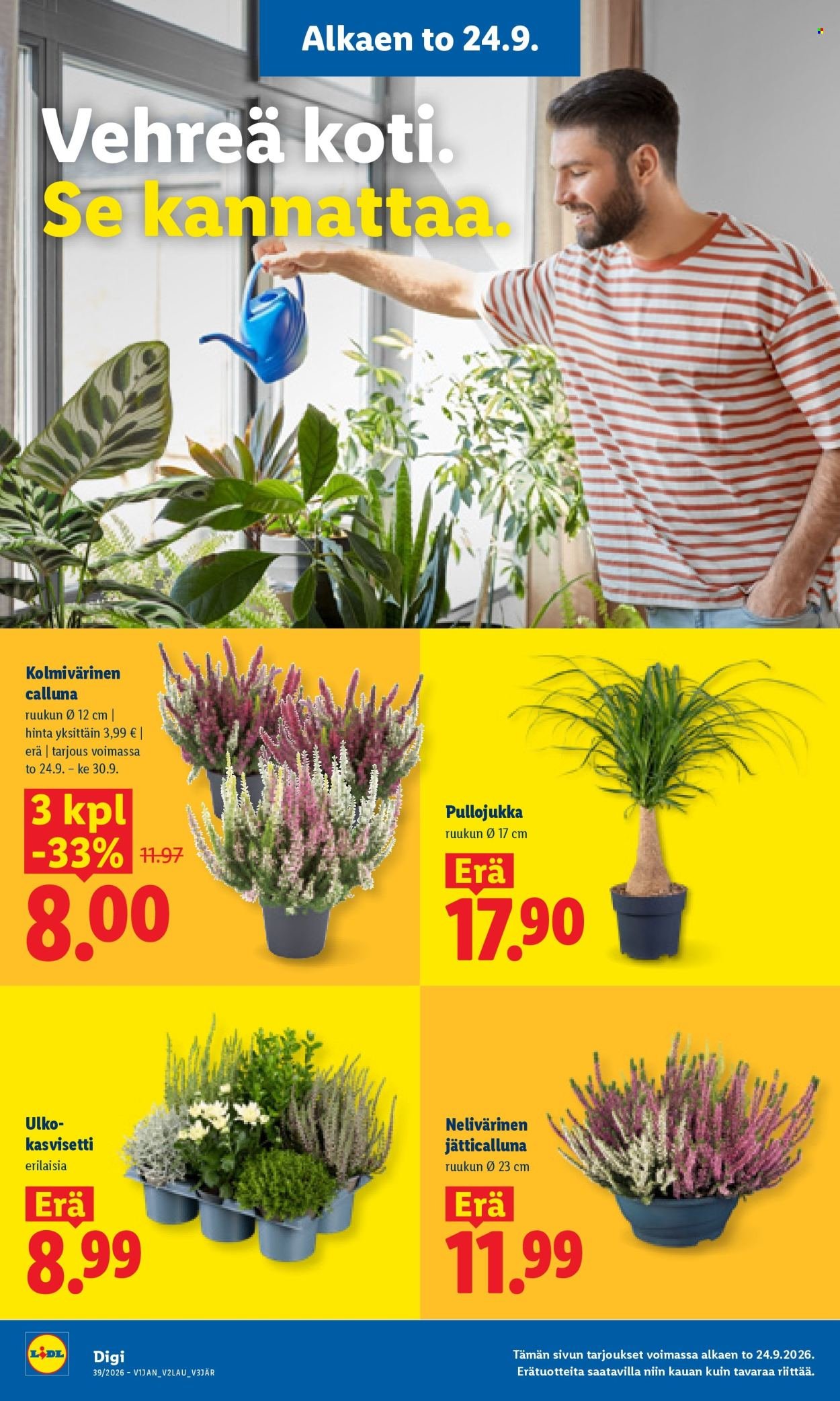 LIDL tarjoukset - Alkaen TO 24.9.2026