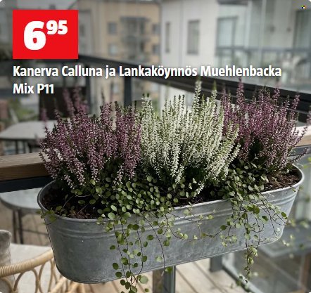 BAUHAUS tarjoukset - Syyskuu 2026