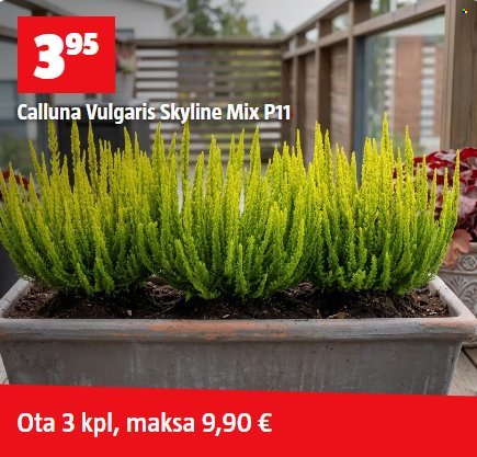 BAUHAUS tarjoukset - Syyskuu 2026