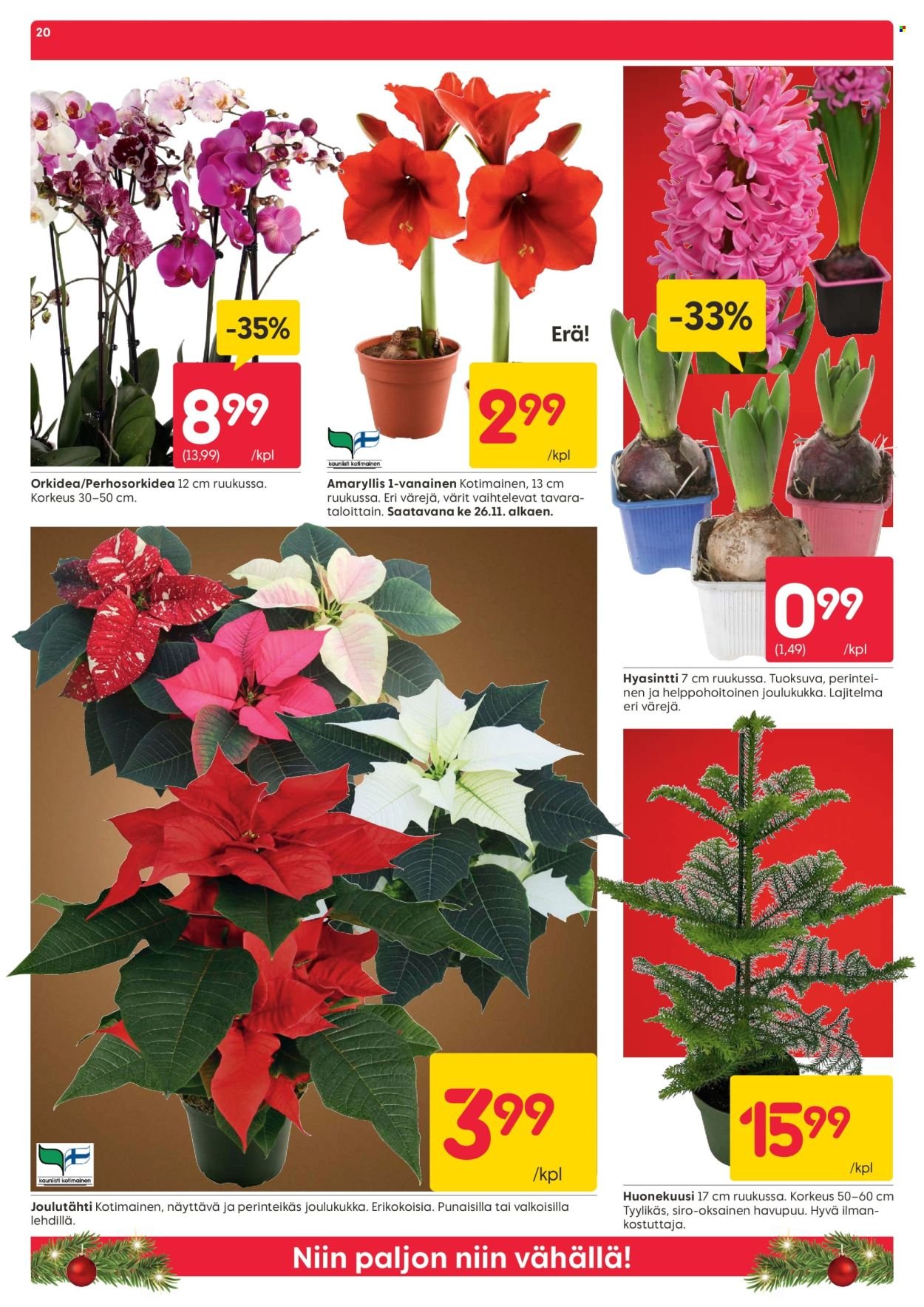 RUSTA tarjoukset - Alkaen MA 24.11.2025