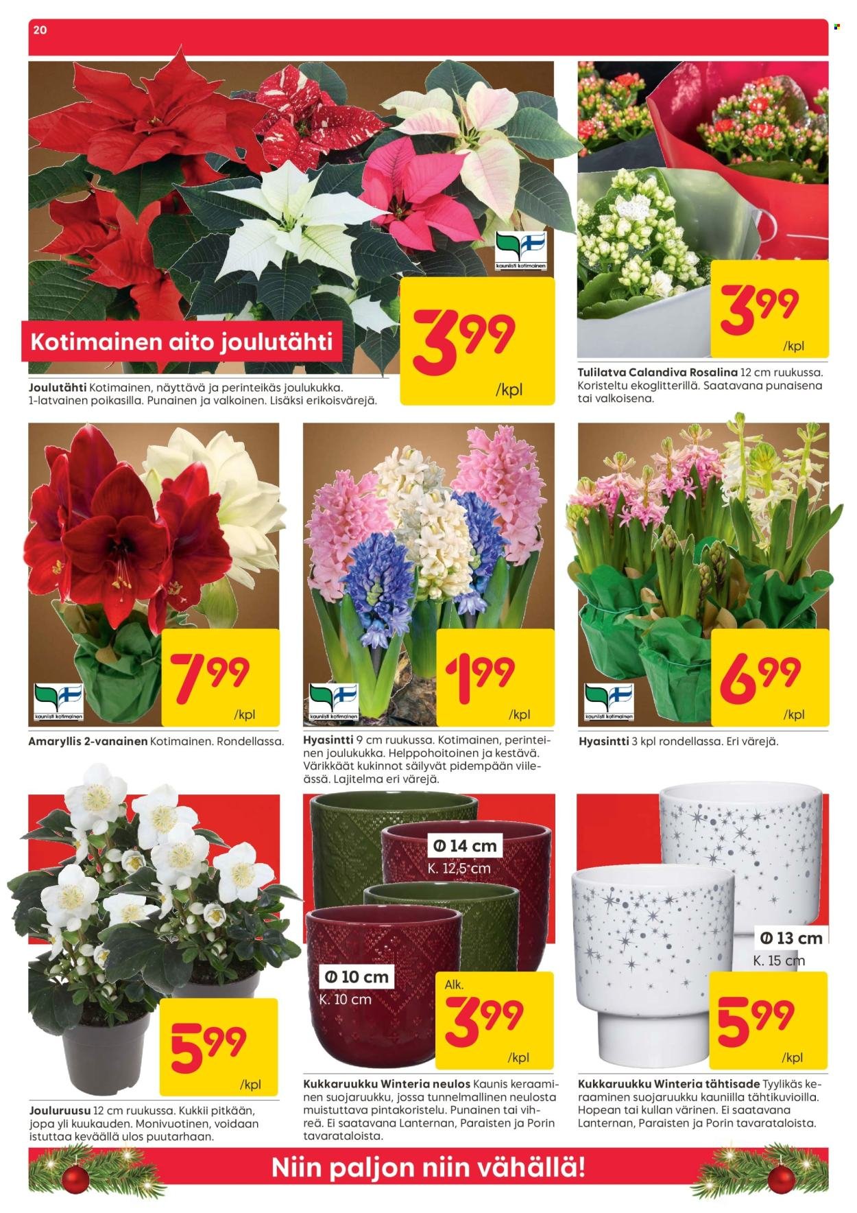 RUSTA tarjoukset - Alkaen MA 1.12.2025