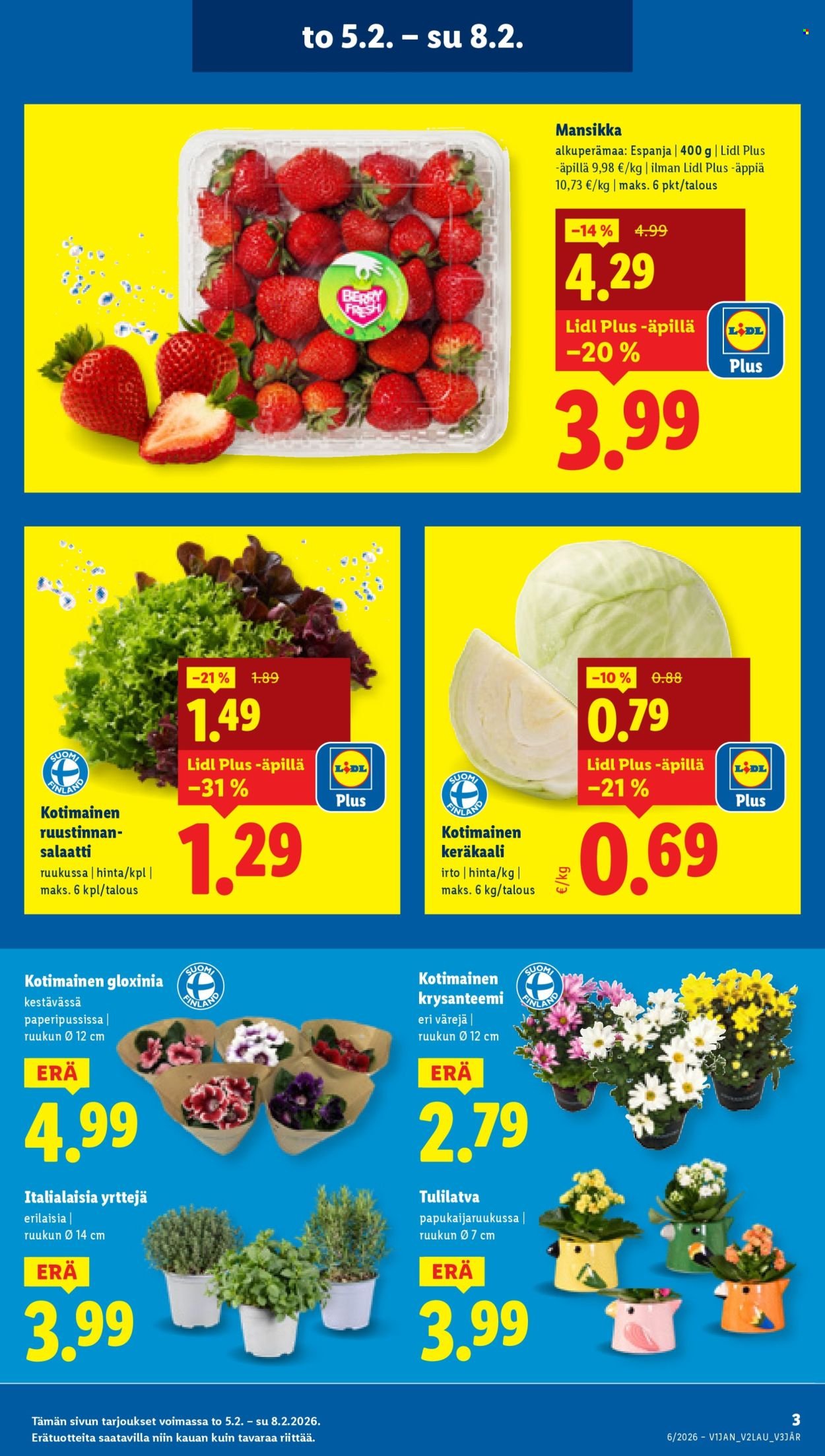LIDL tarjoukset - Alkaen TO 5.2.2026