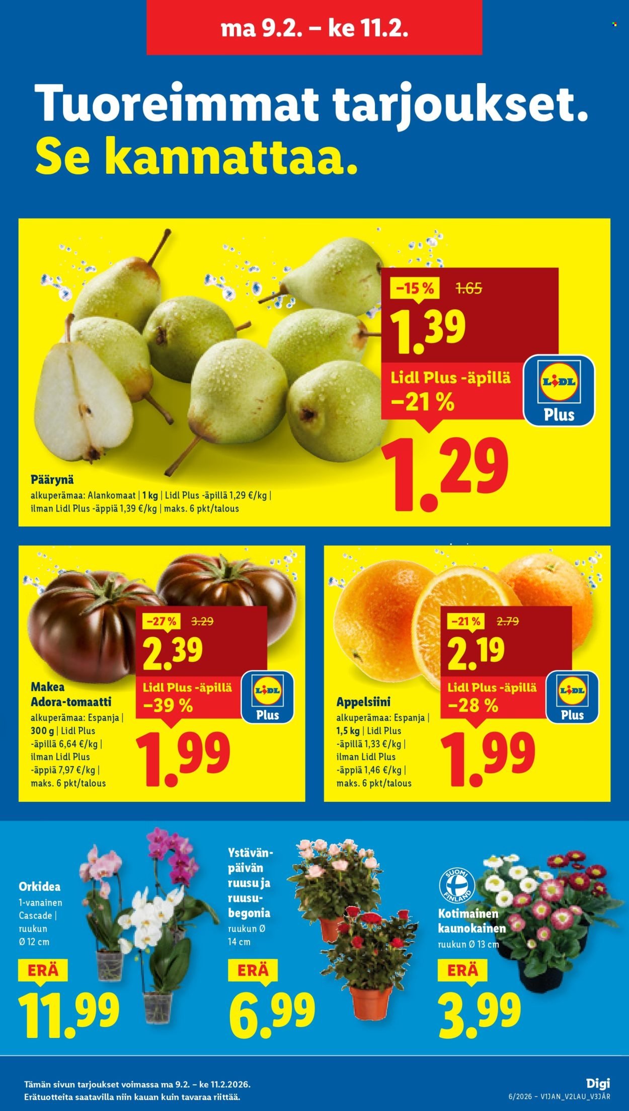 LIDL tarjoukset - Alkaen TO 5.2.2026
