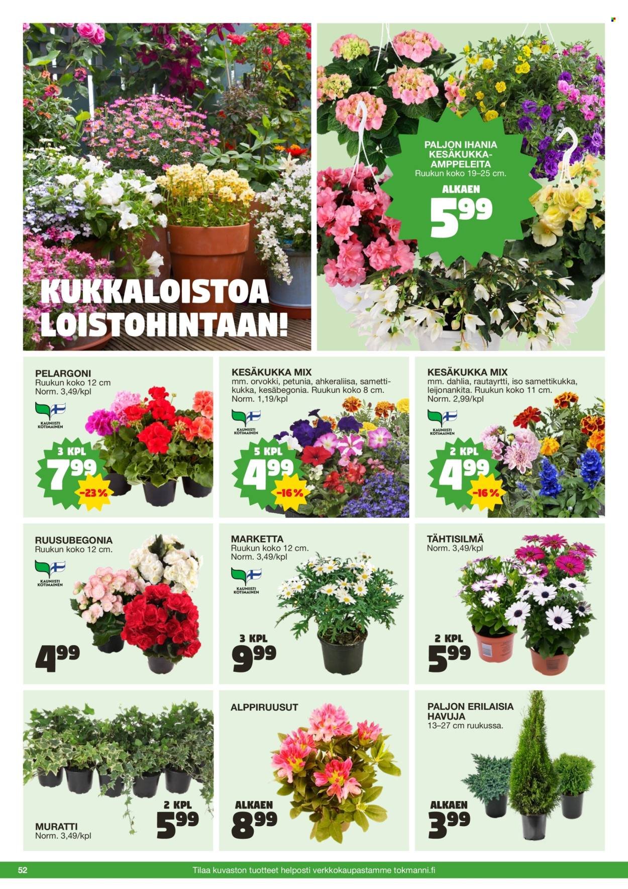 TOKMANNI tarjoukset - Kesä 2026