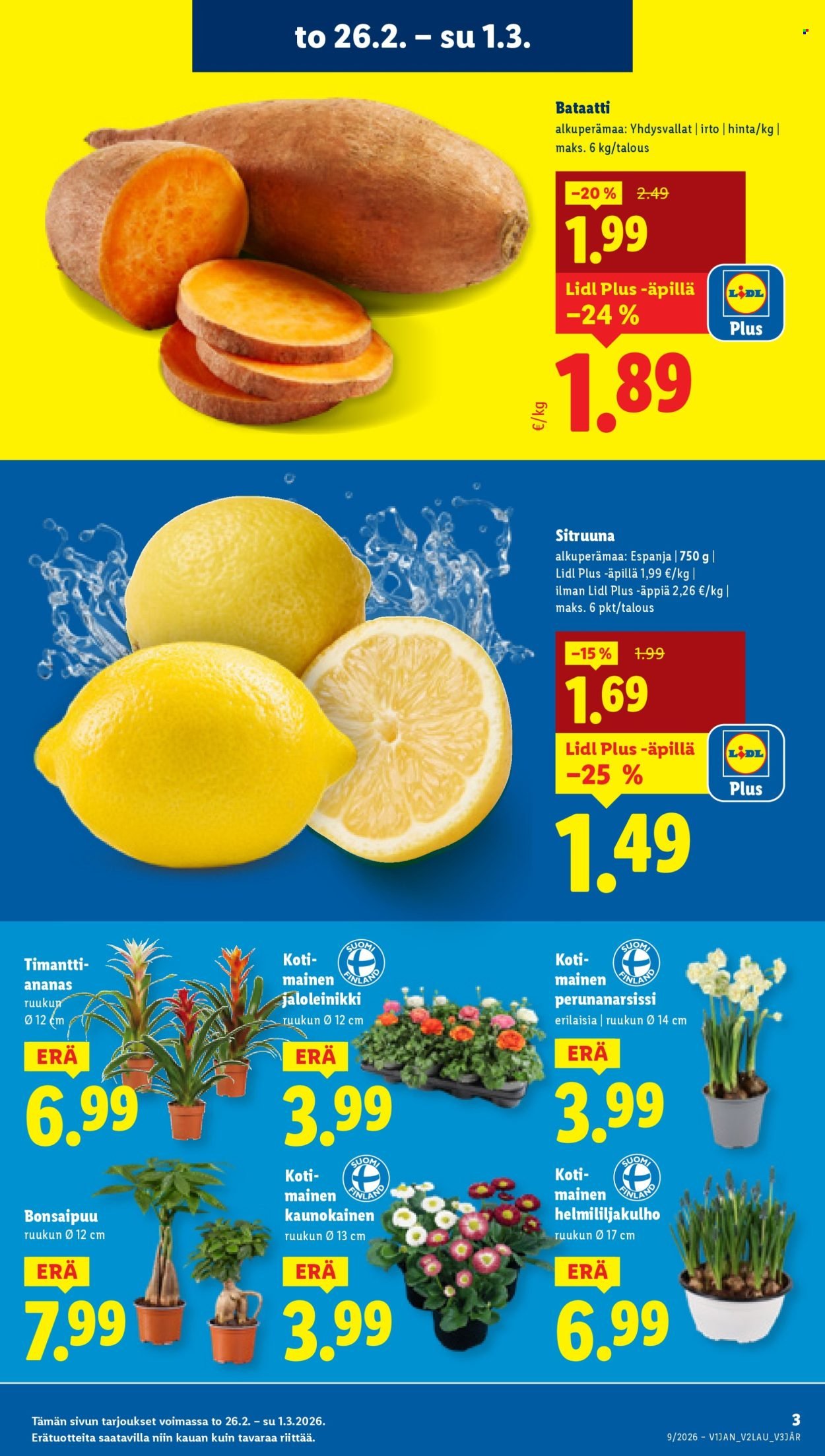 LIDL tarjoukset - Alkaen TO 26.2.2026