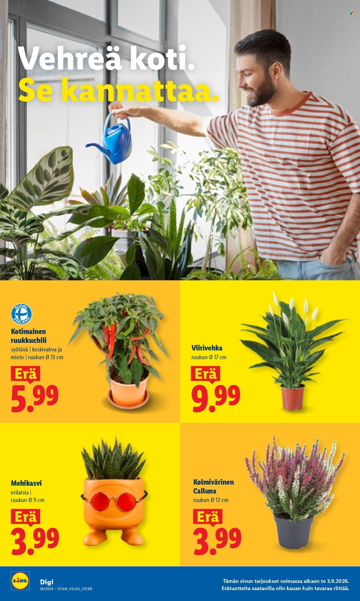 LIDL tarjoukset - Alkaen TO 3.9.2026