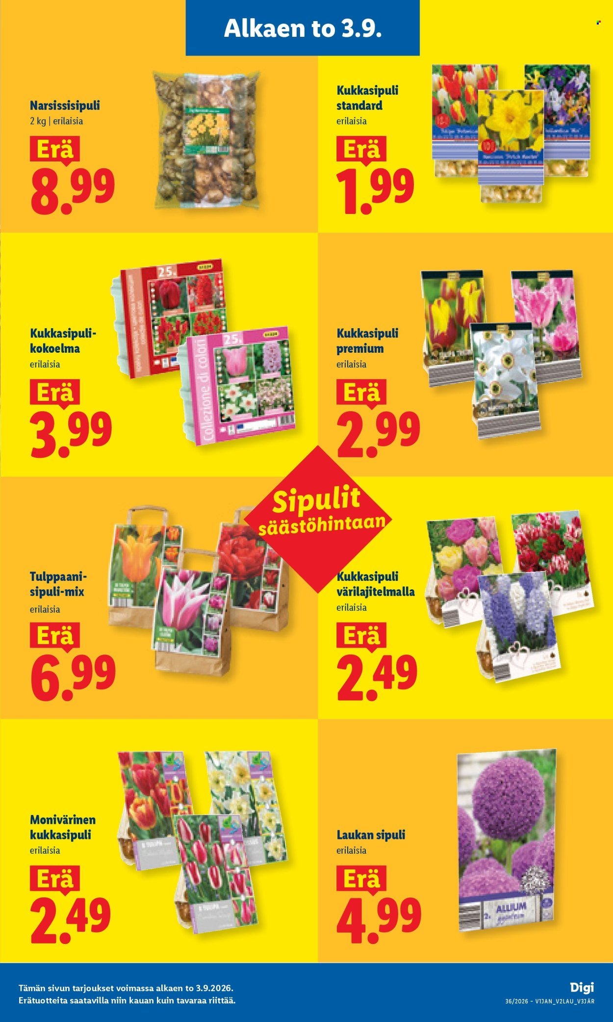 LIDL tarjoukset - Alkaen TO 3.9.2026