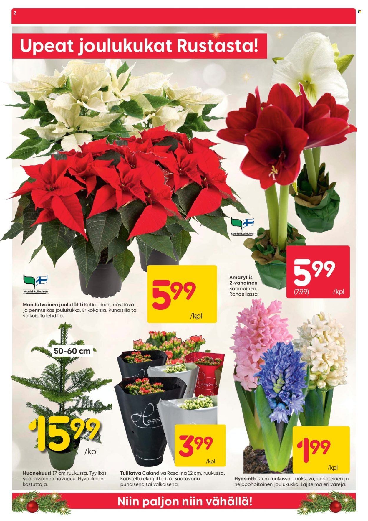 RUSTA tarjoukset - Alkaen MA 8.12.2025