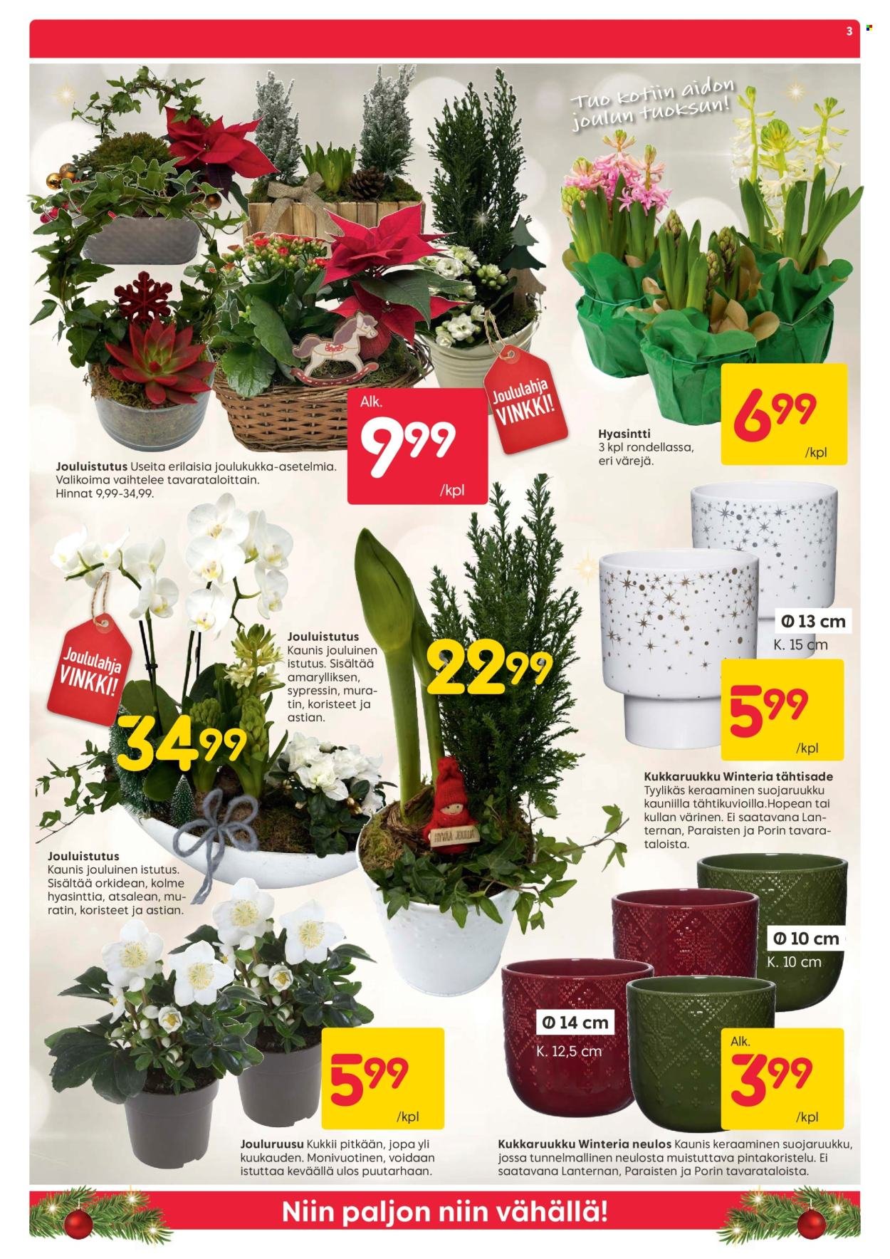 RUSTA tarjoukset - Alkaen MA 8.12.2025