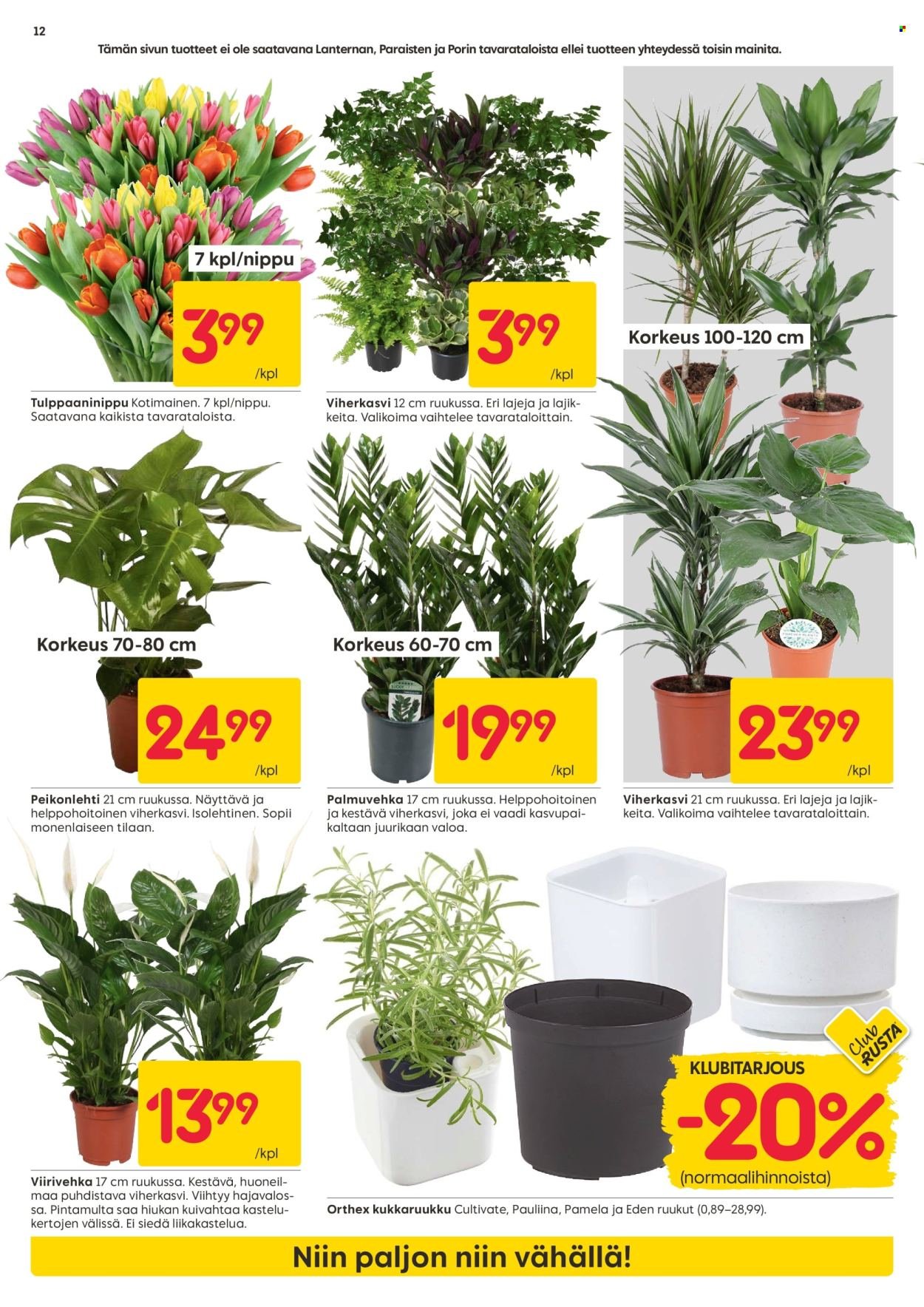 RUSTA tarjoukset - Alkaen MA 26.1.2026