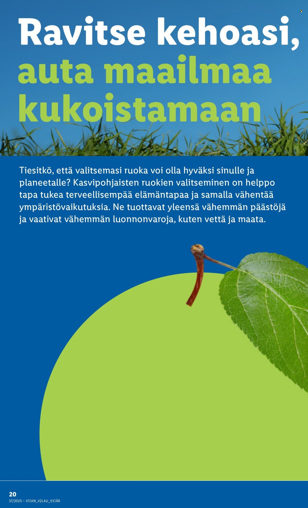 LIDL tarjoukset - Alkaen TO 28.8.2025 (2025-08-28 - 2025-09-03)