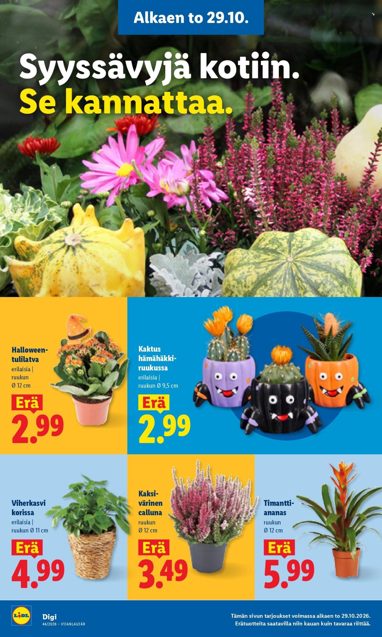 LIDL tarjoukset - Alkaen TO 29.10.2026