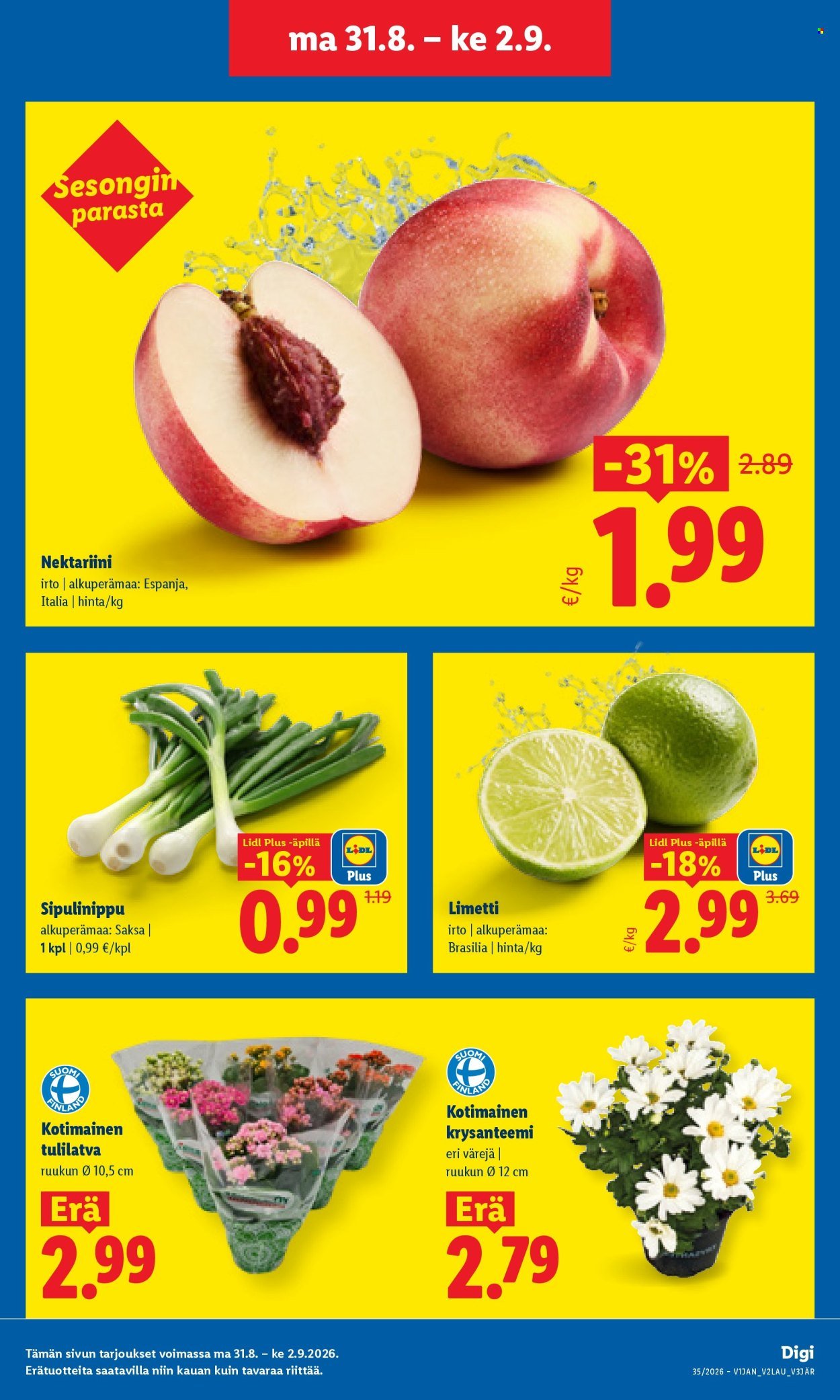 LIDL tarjoukset - Alkaen MA 31.8.2026