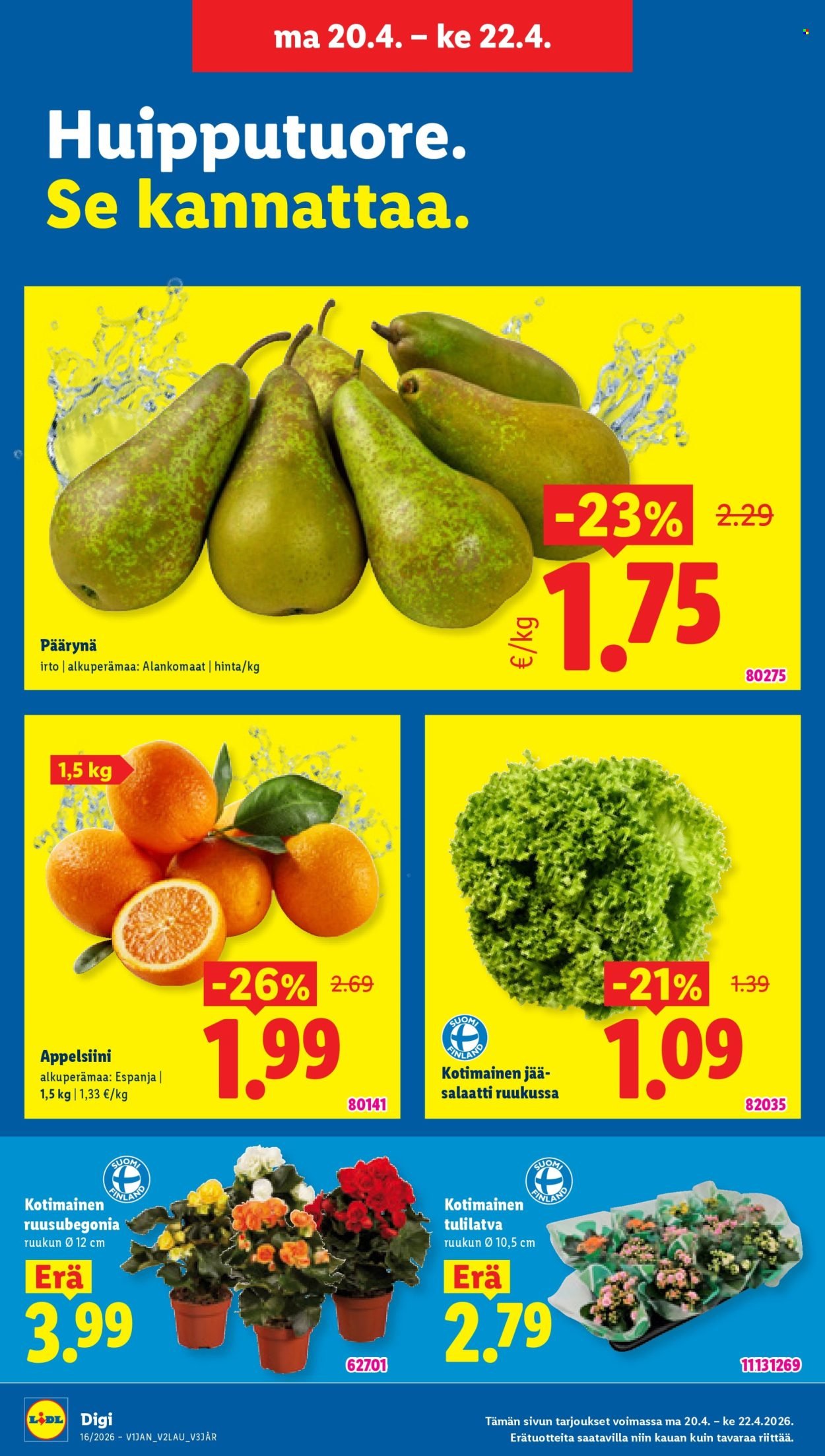 LIDL tarjoukset - Alkaen TO 16.4.2026