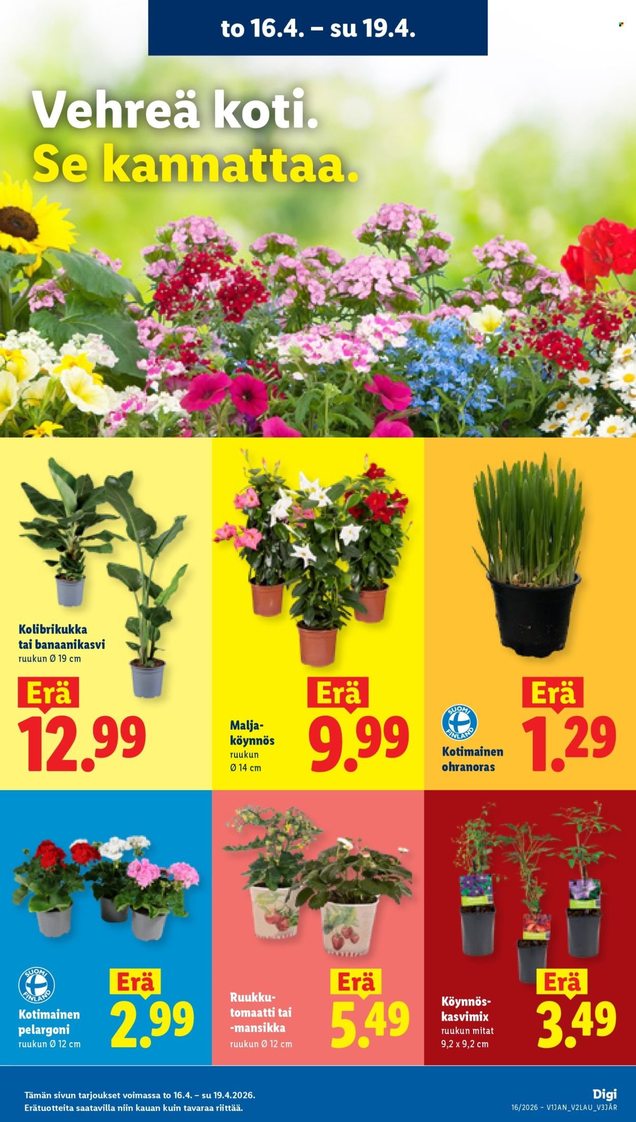 LIDL tarjoukset - Alkaen TO 16.4.2026