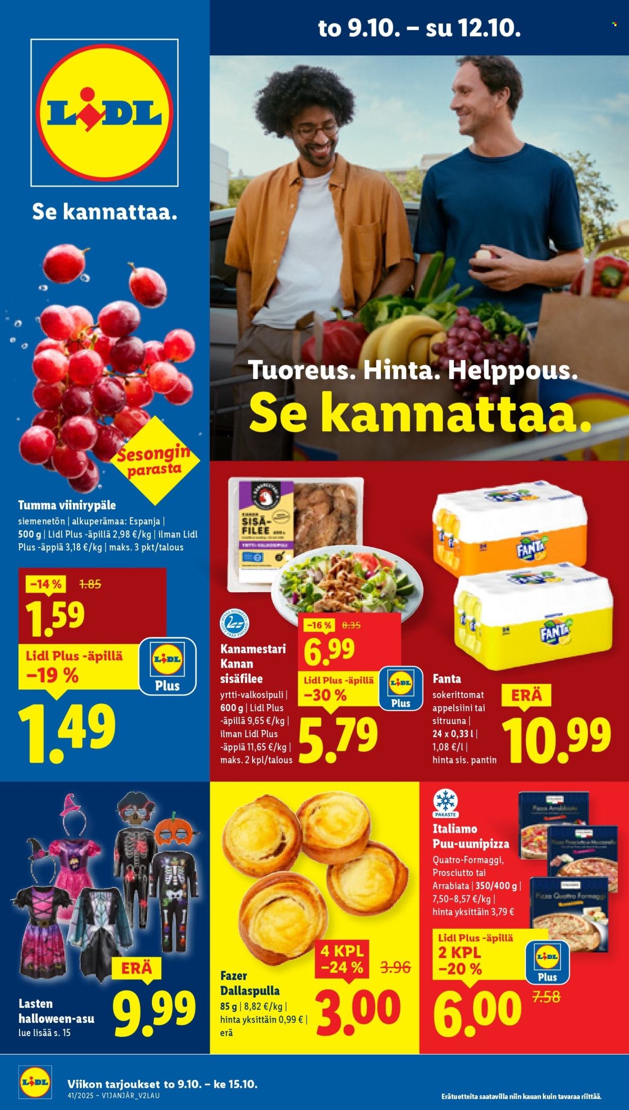 LIDL tarjoukset - Alkaen TO 9.10.2025 (2025-10-09 - 2025-10-15)