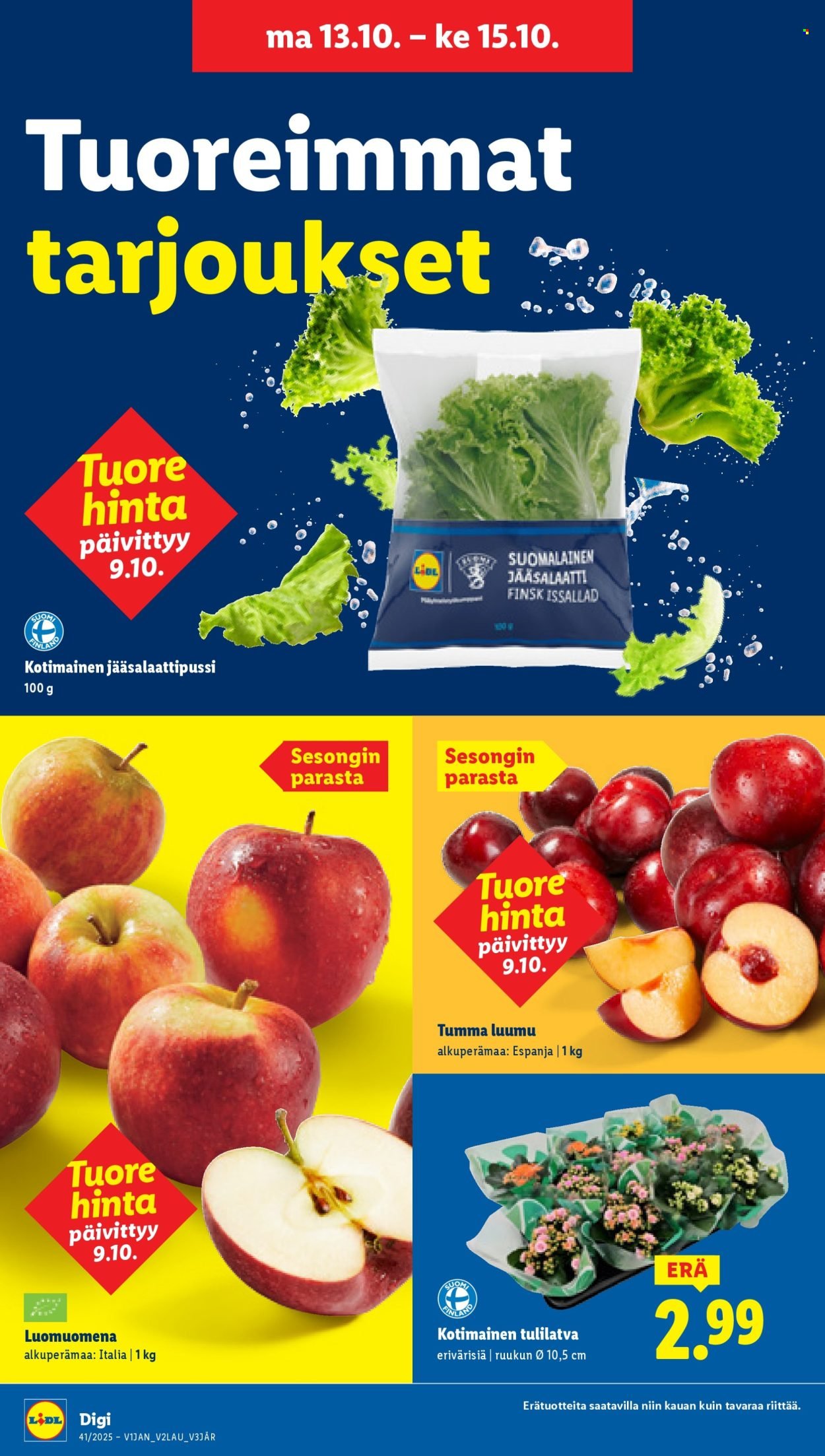 LIDL tarjoukset - Alkaen TO 9.10.2025 (2025-10-09 - 2025-10-15)
